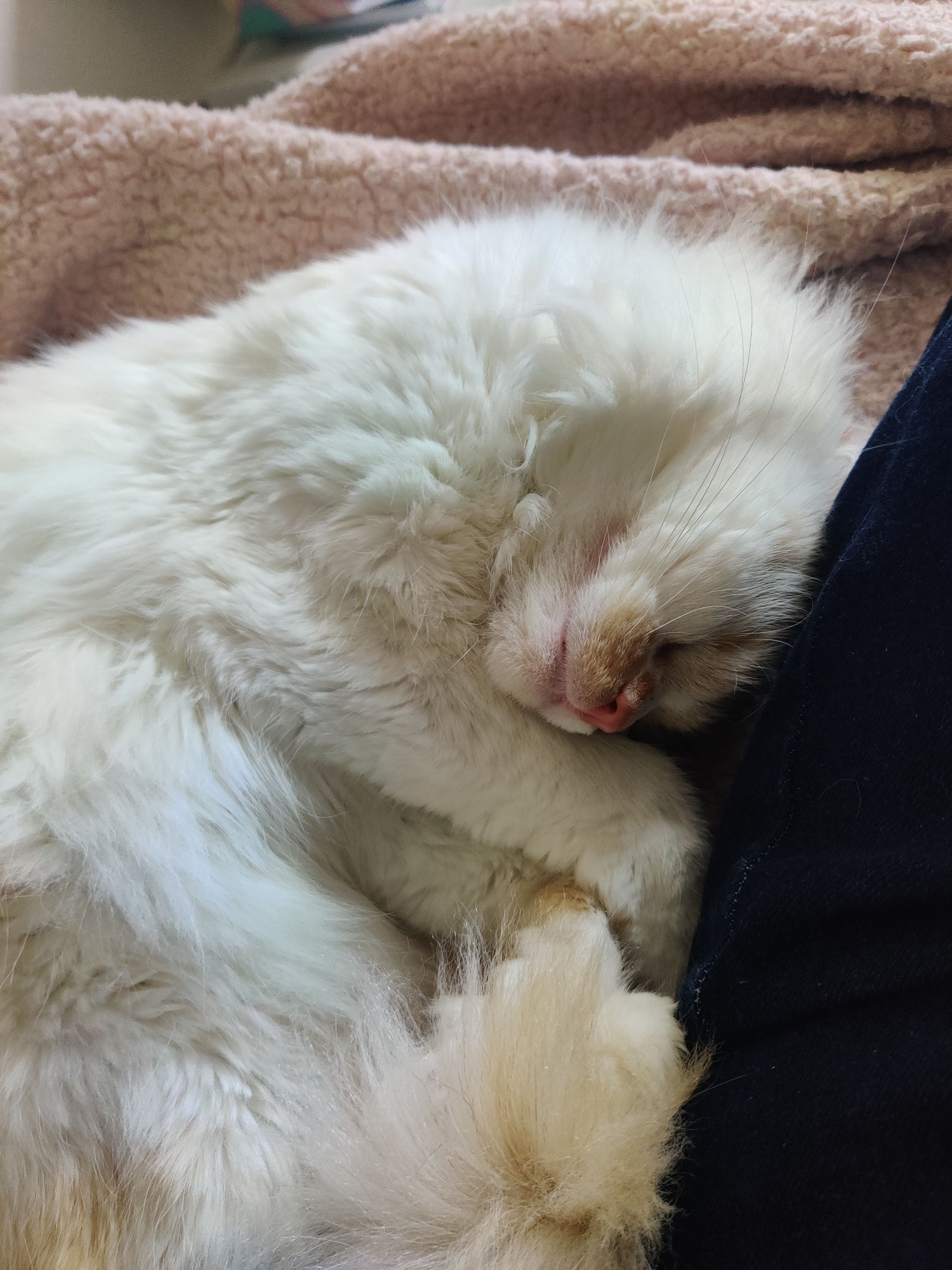 Des nouvelles de Nuage