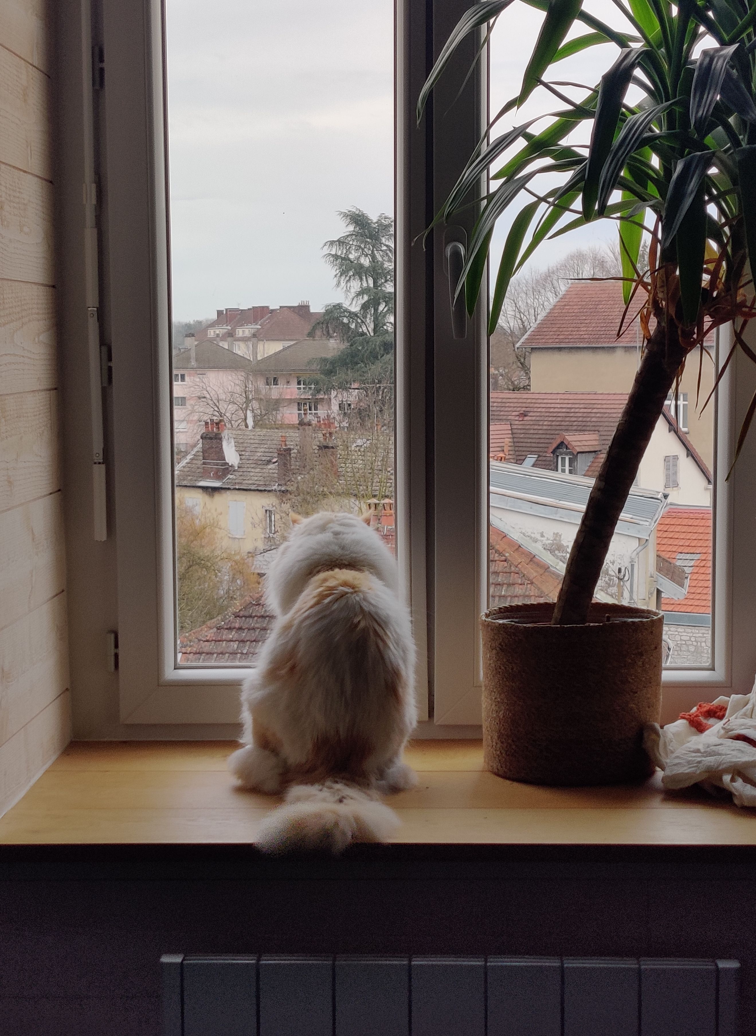 Des nouvelles de Nuage