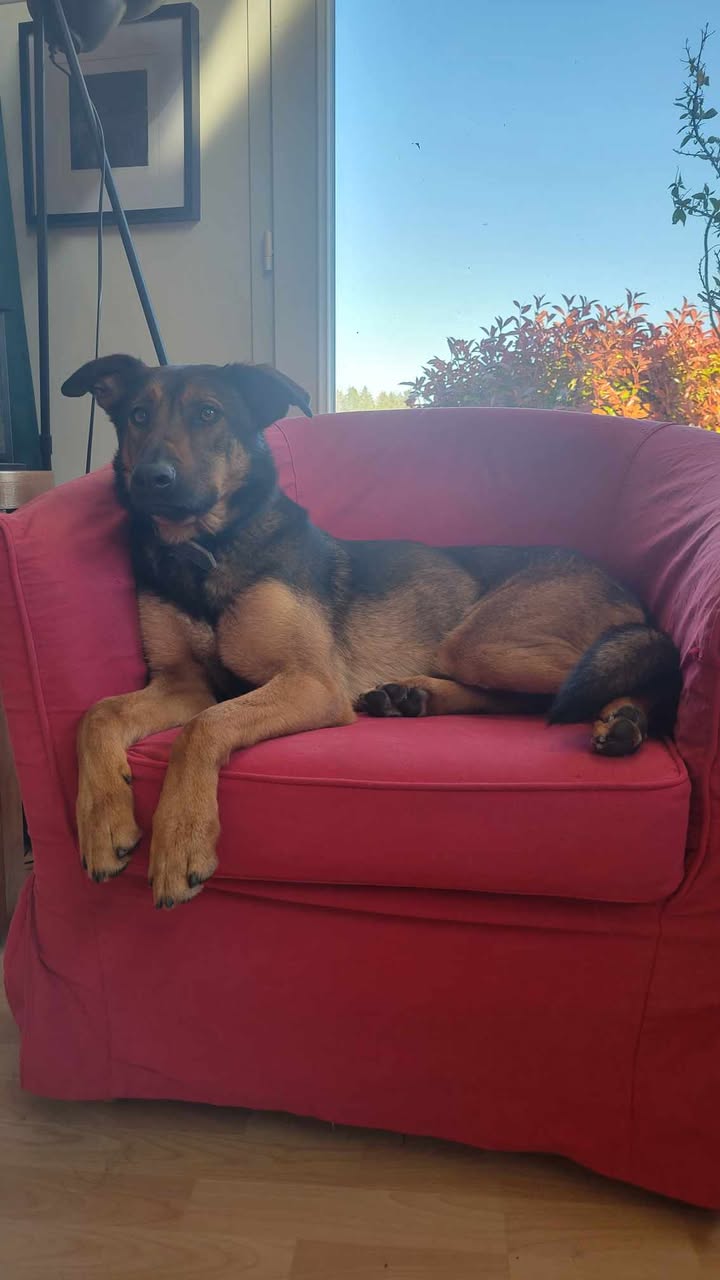 Des nouvelles de Gala