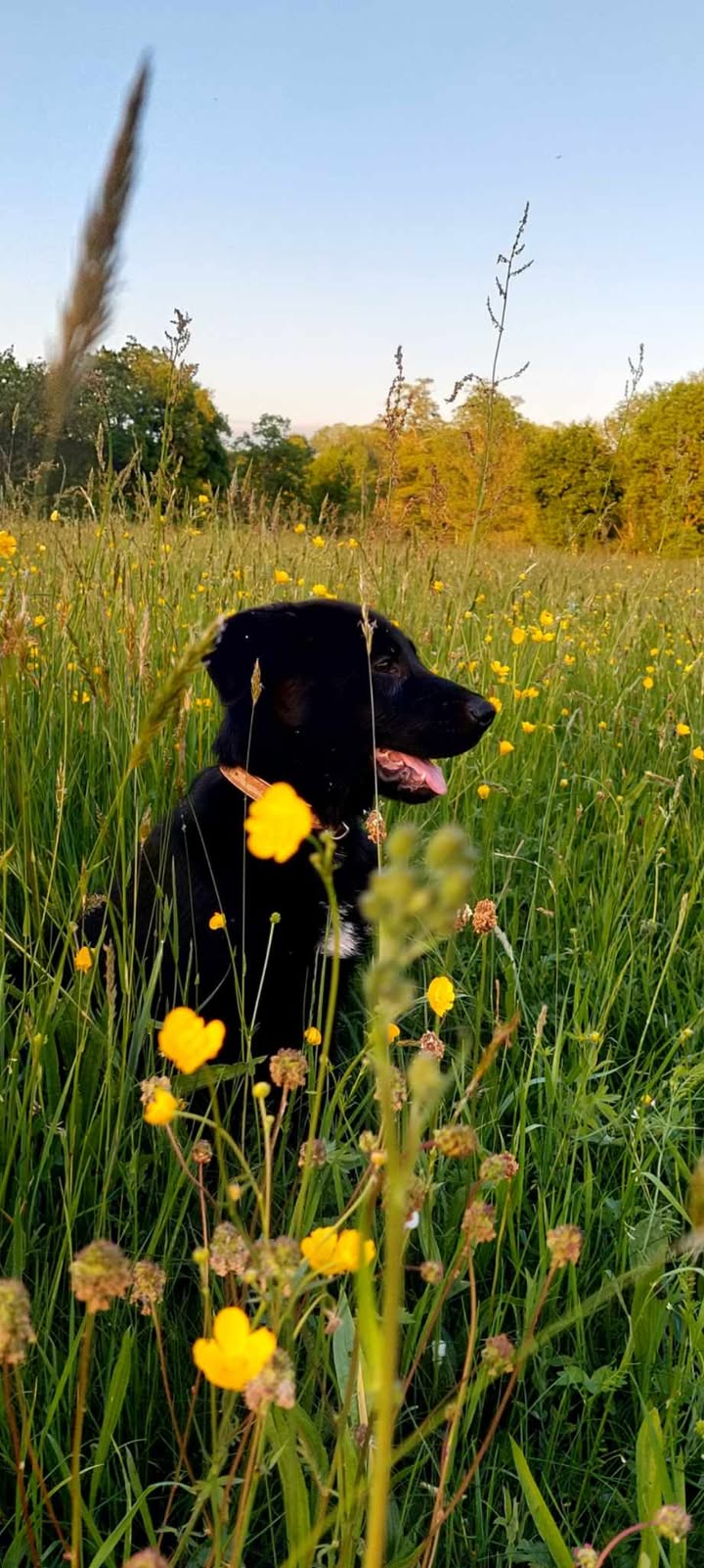 Des nouvelles de Drako ex Arthus.