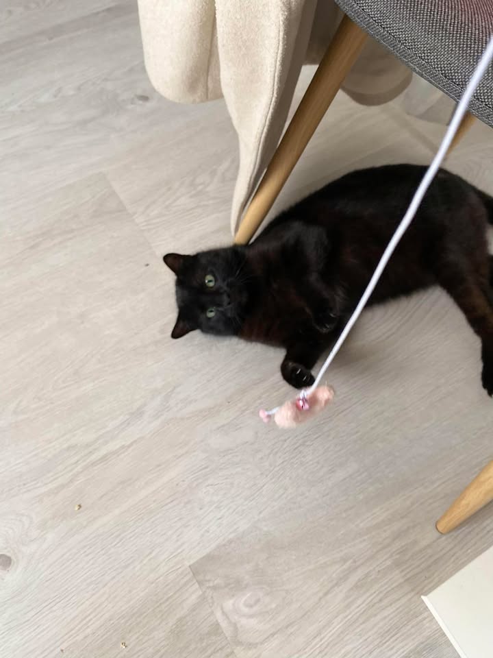 Tichou des nouvelles