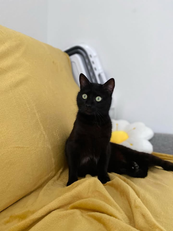 Tichou des nouvelles