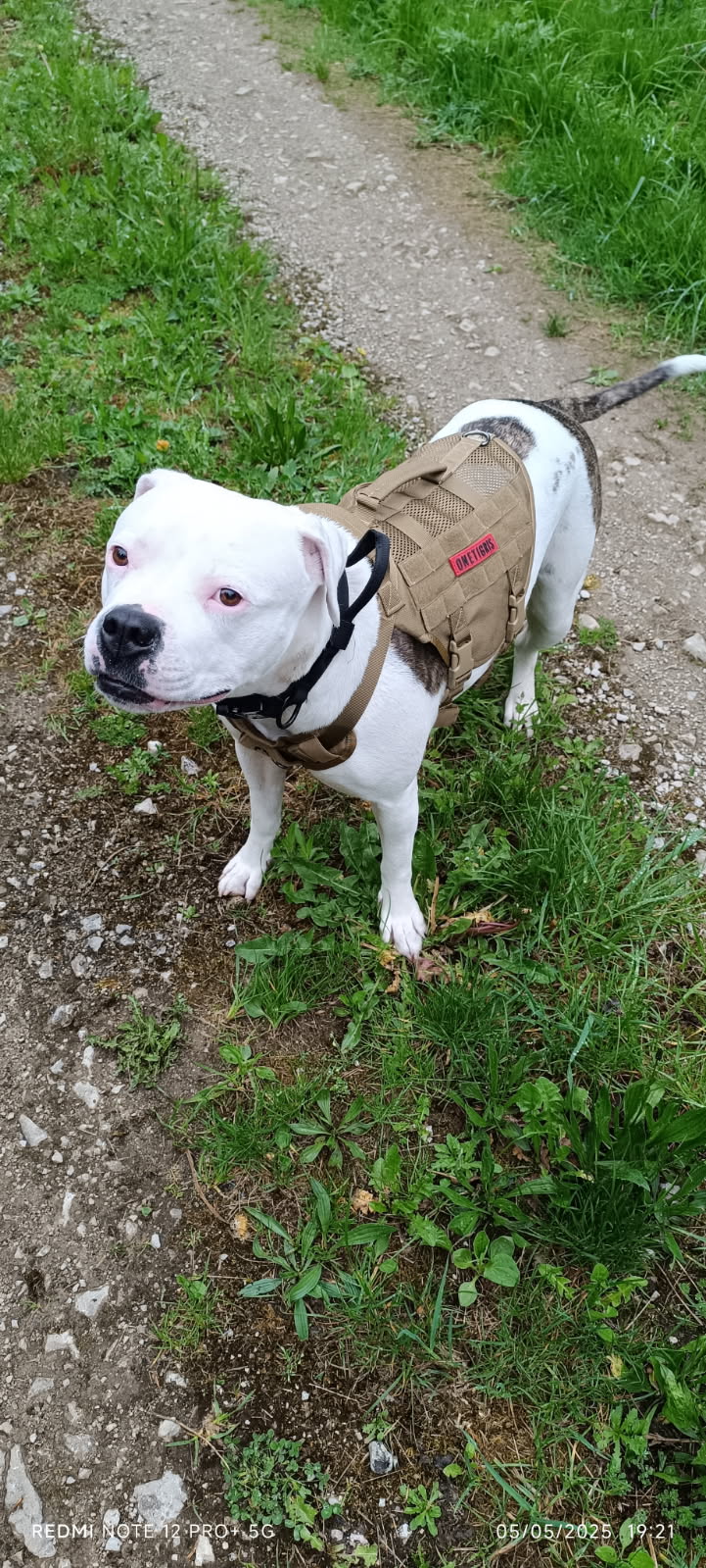 Départ de Tiya (voir rubr vidéo).