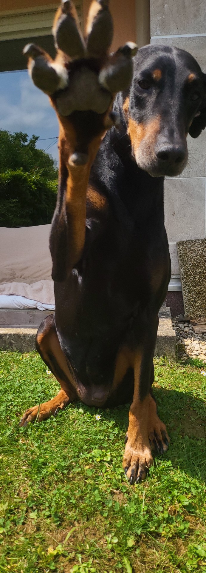 Des nouvelles de la star:Eden