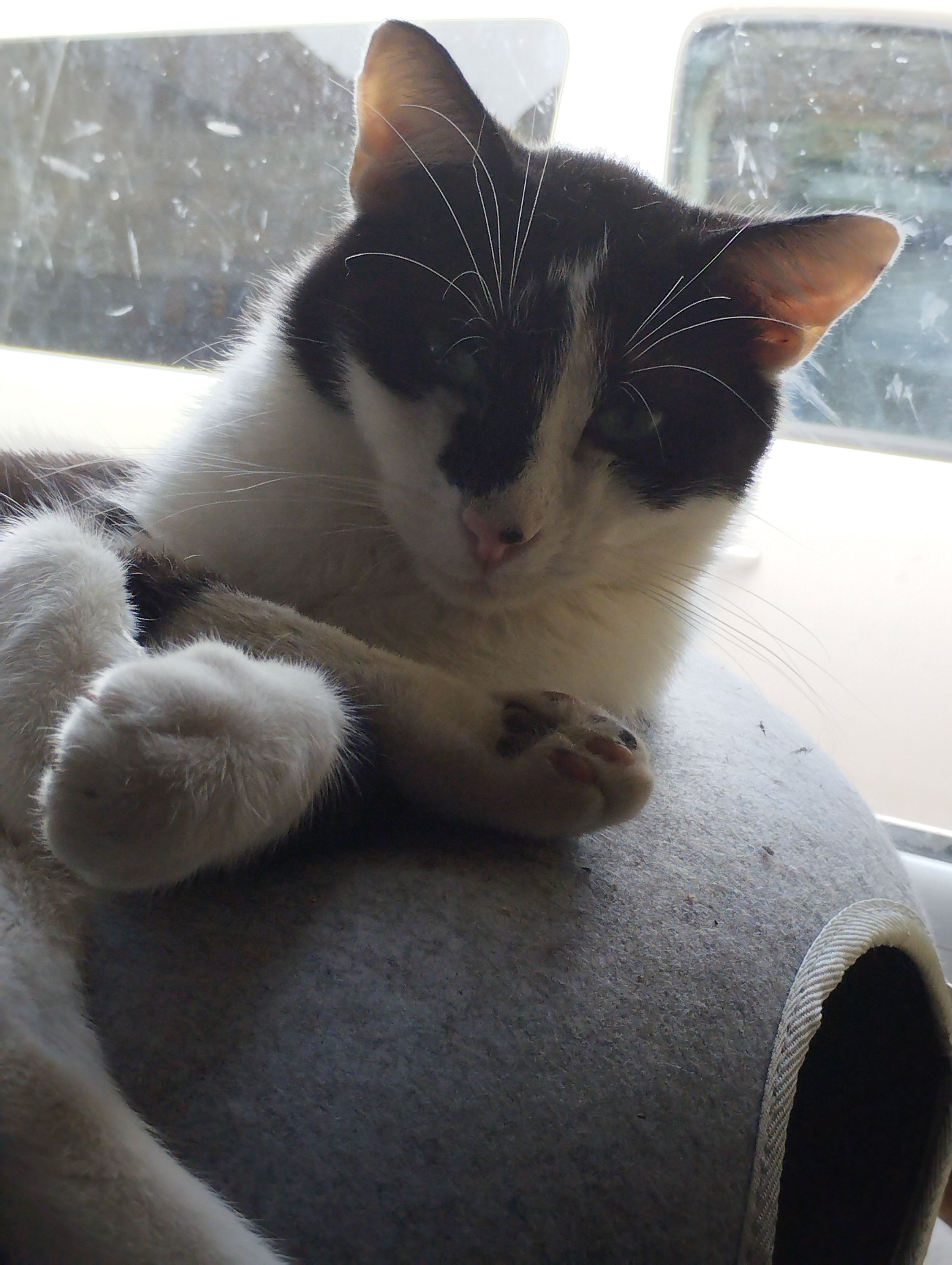 Vendôme et Vincenzo