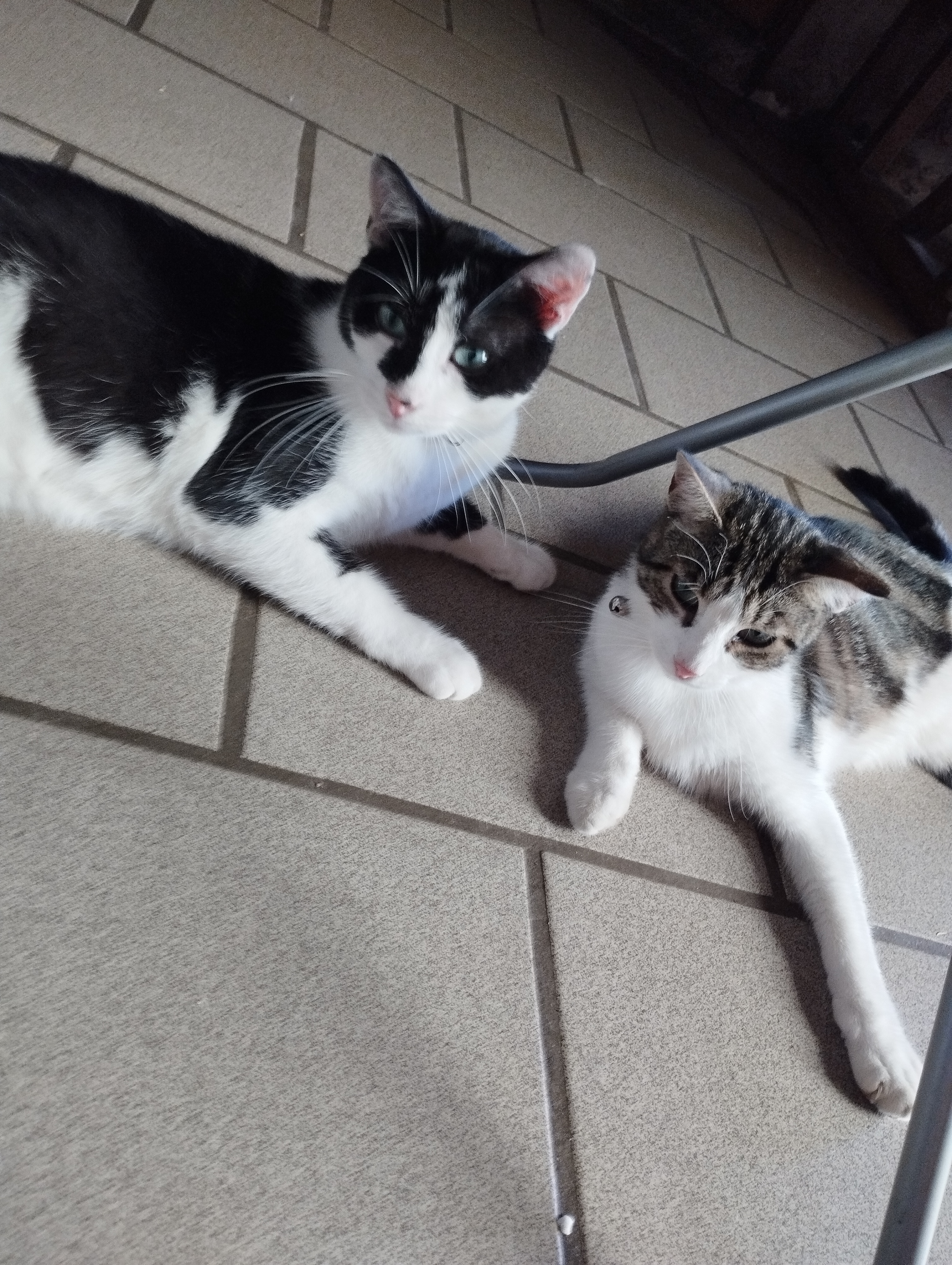 Vendôme et Vincenzo