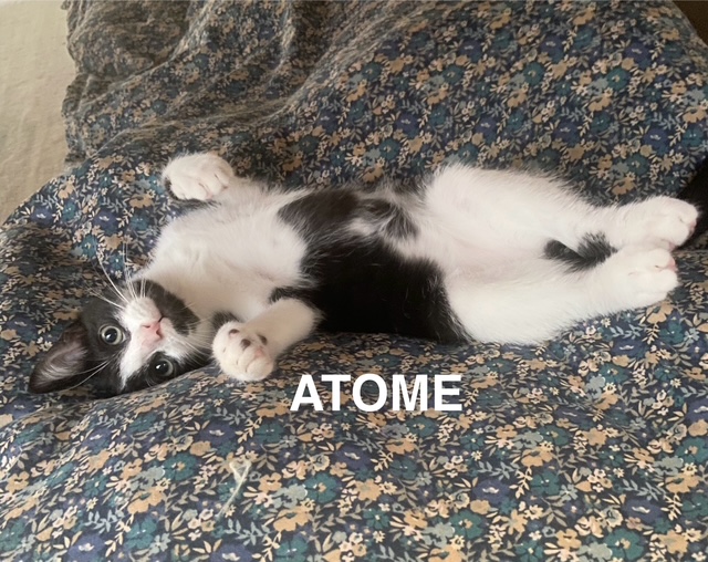 ATOME