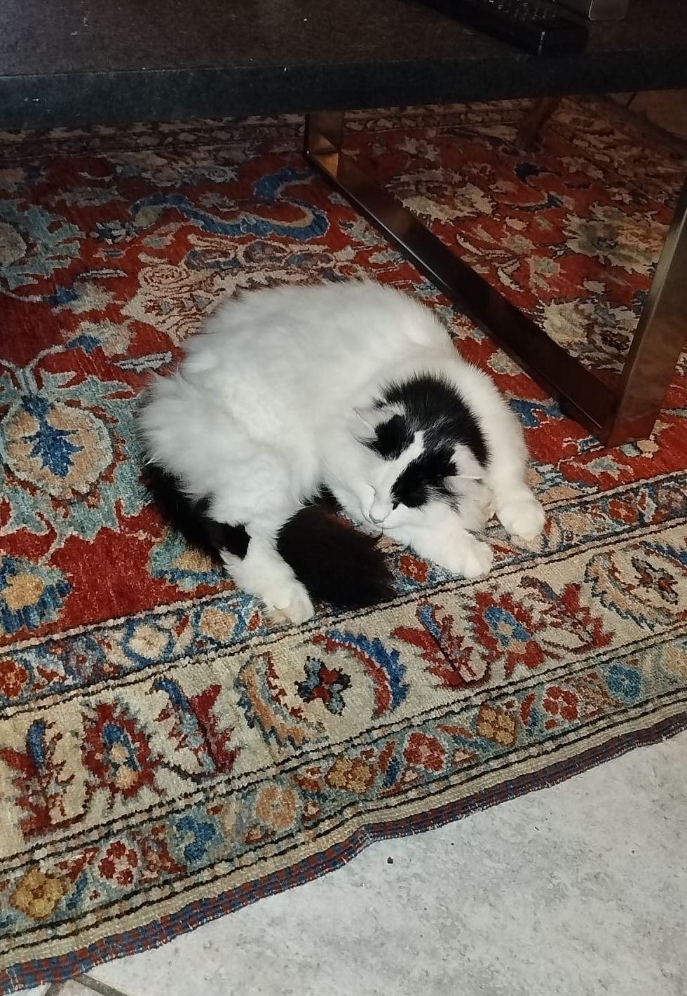 Des nouvelles de Gaïana