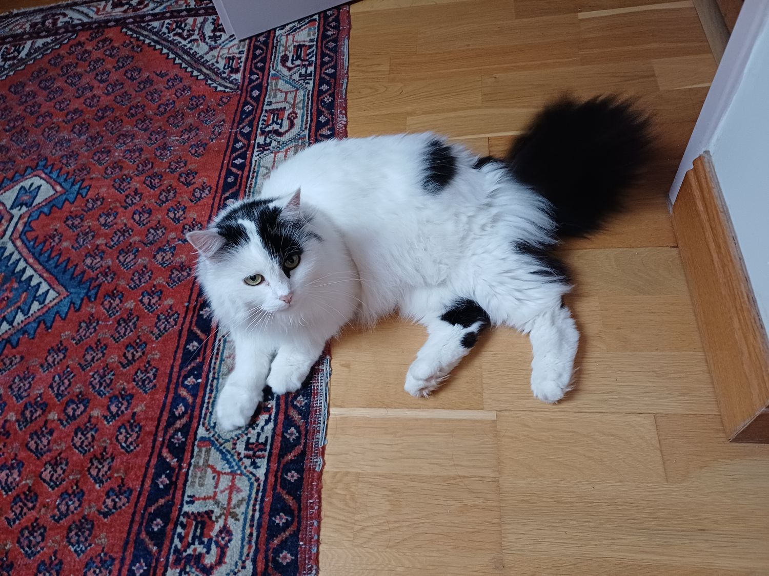 Des nouvelles de Gaïana