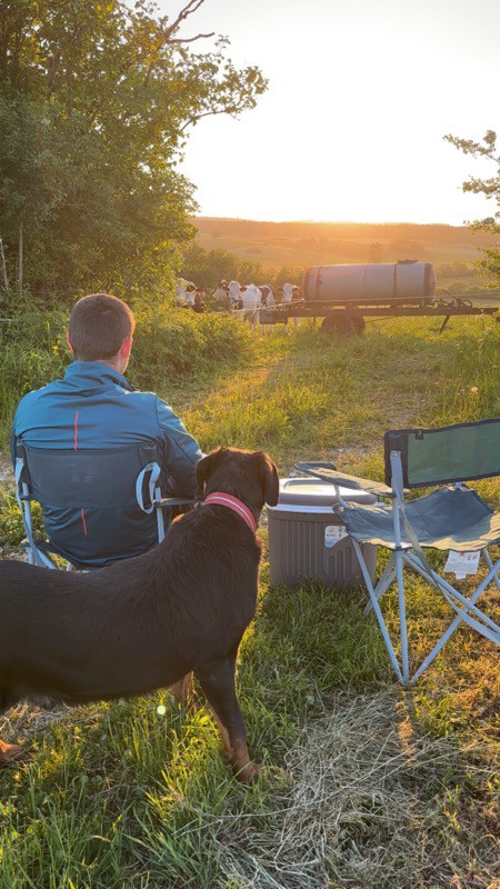 Des bonnes nouvelles d'Hector