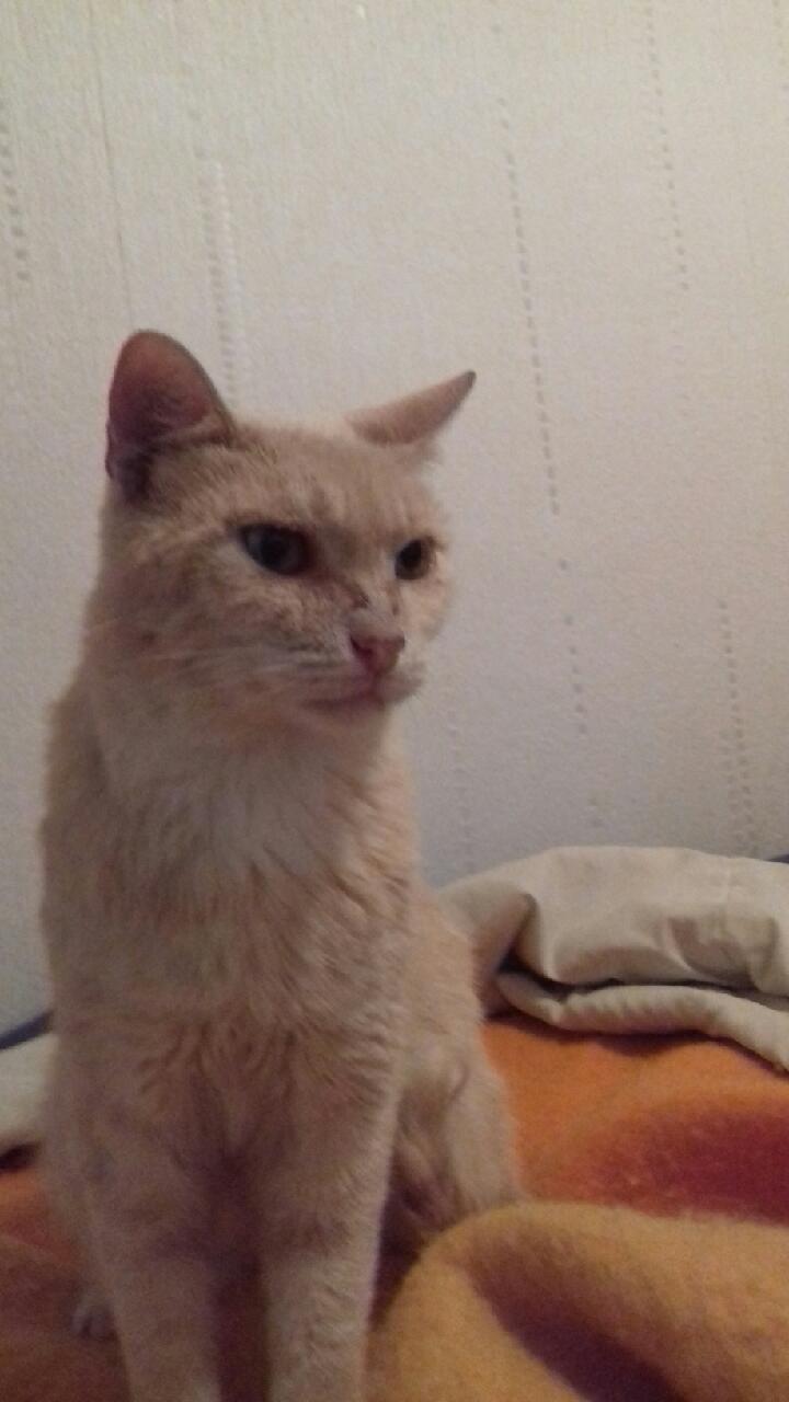 Des nouvelles de Milou