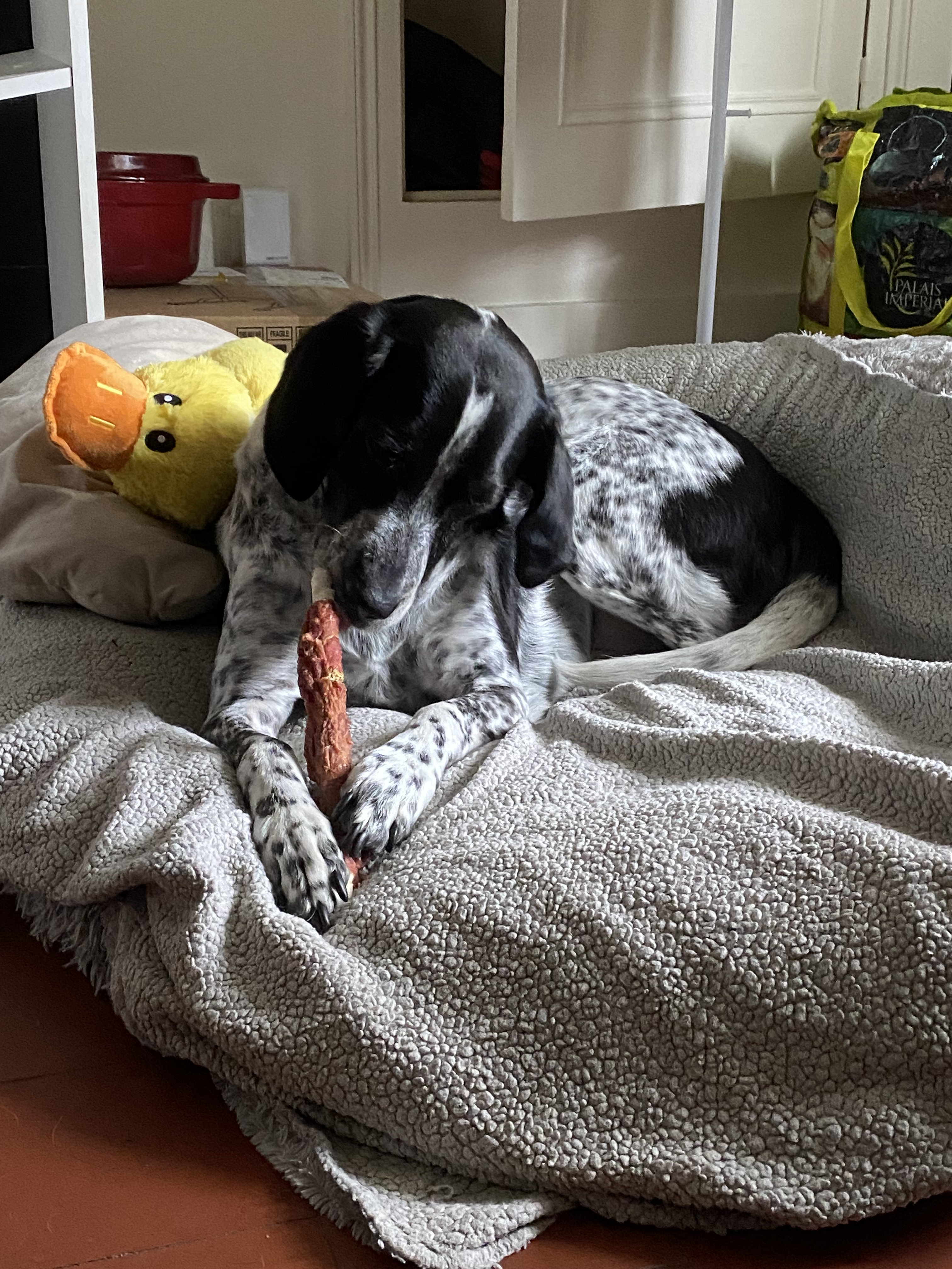 Des nouvelles d’Olky