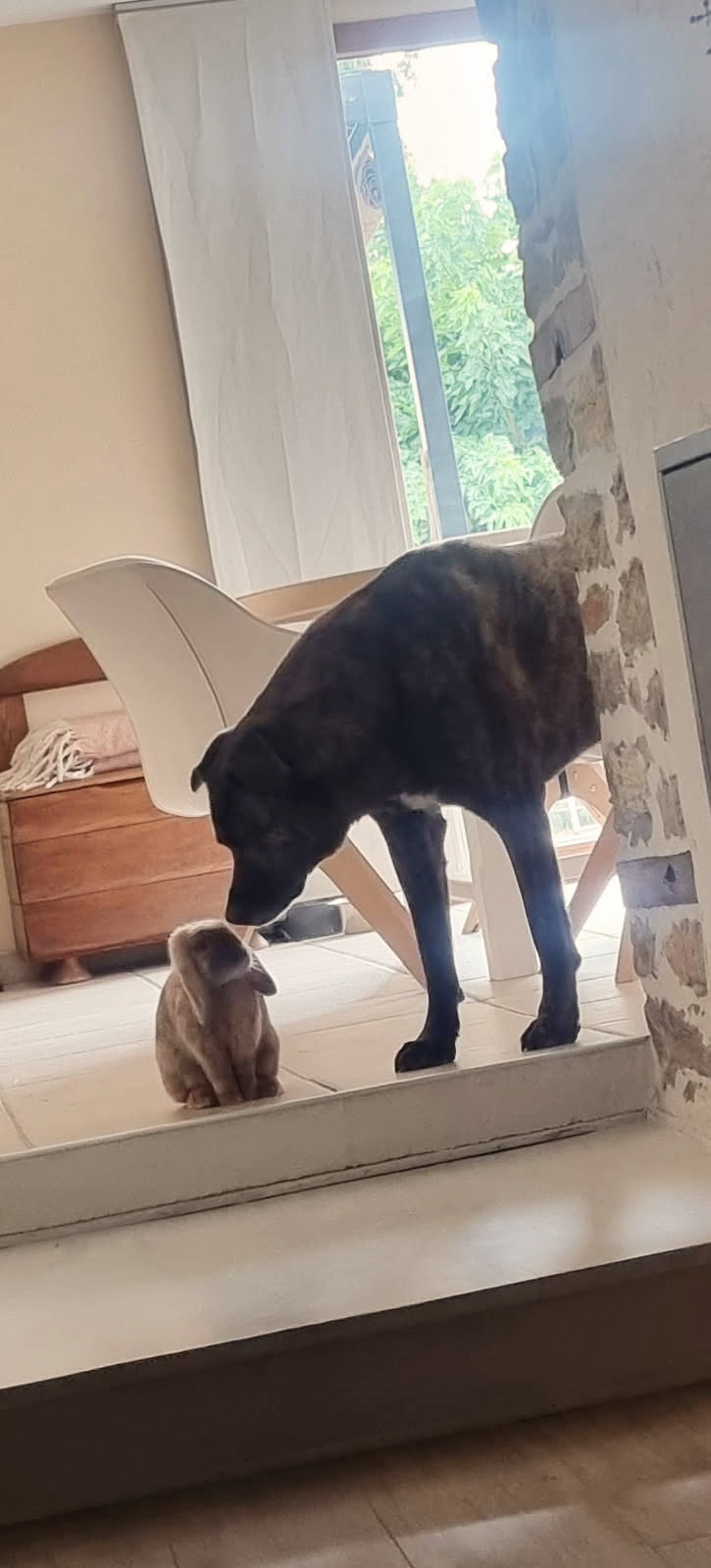 Sherkam et son amoureux Filou.