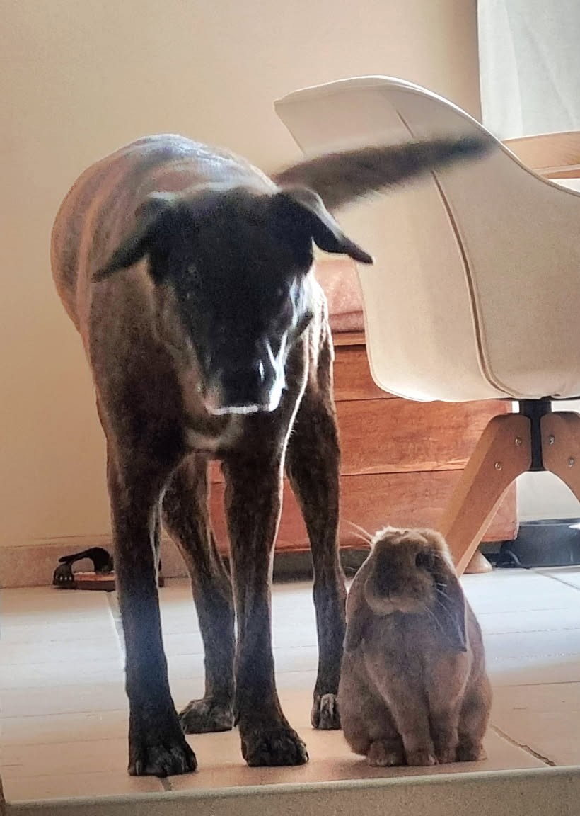 Sherkam et son amoureux Filou.