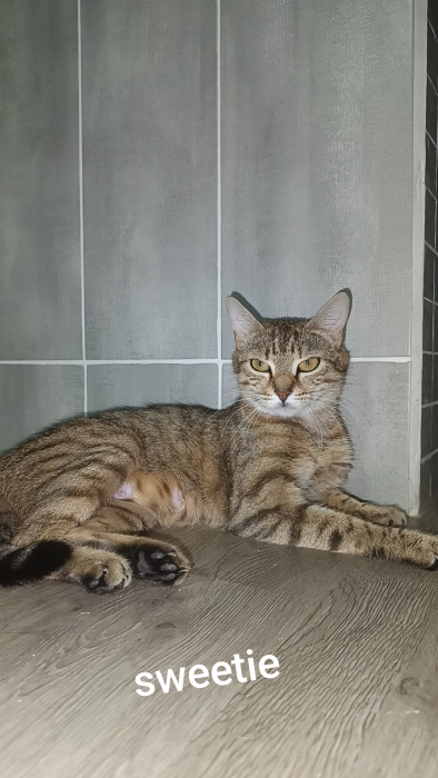 Sweetie