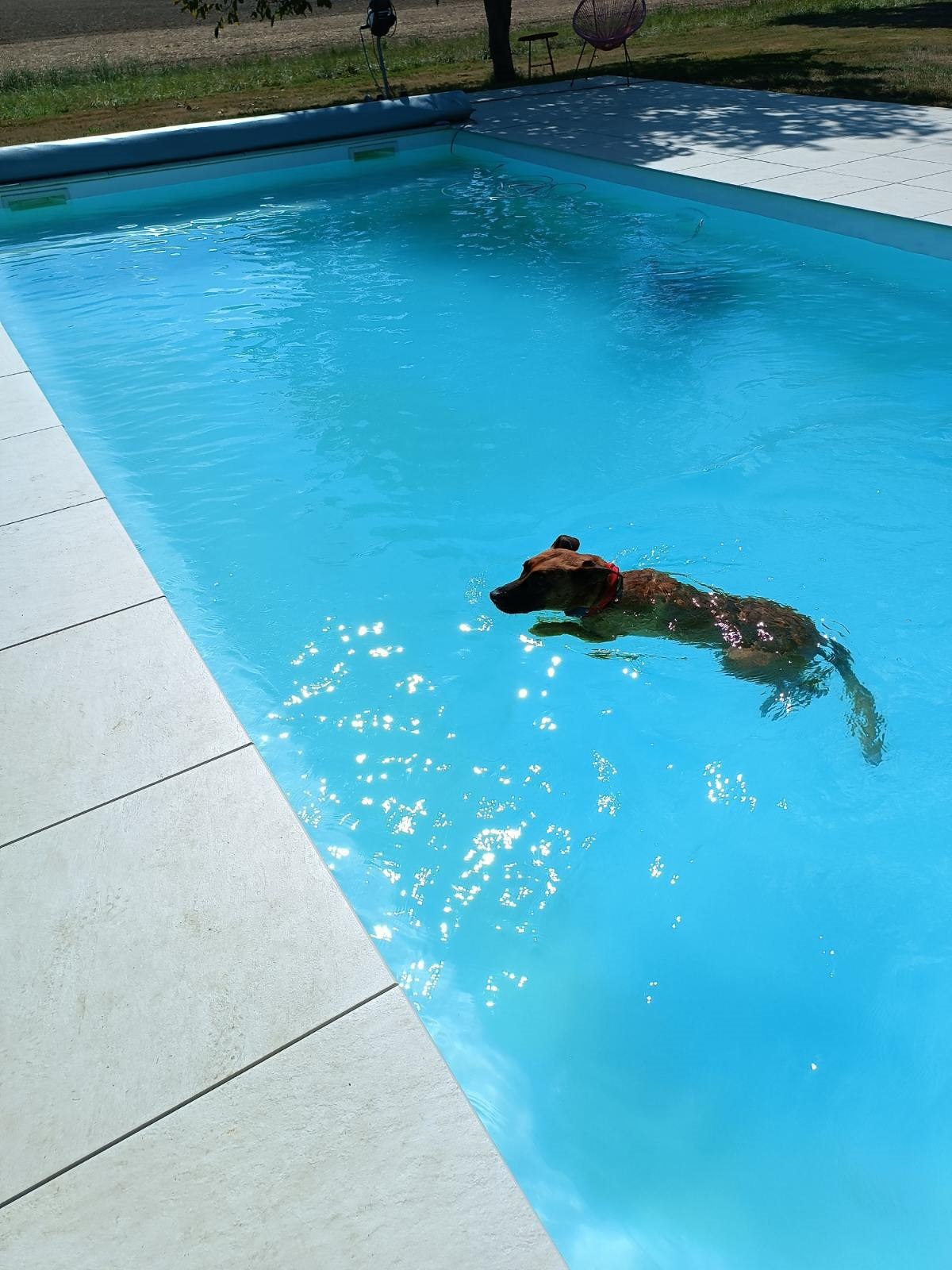 Athos et le bonheur.