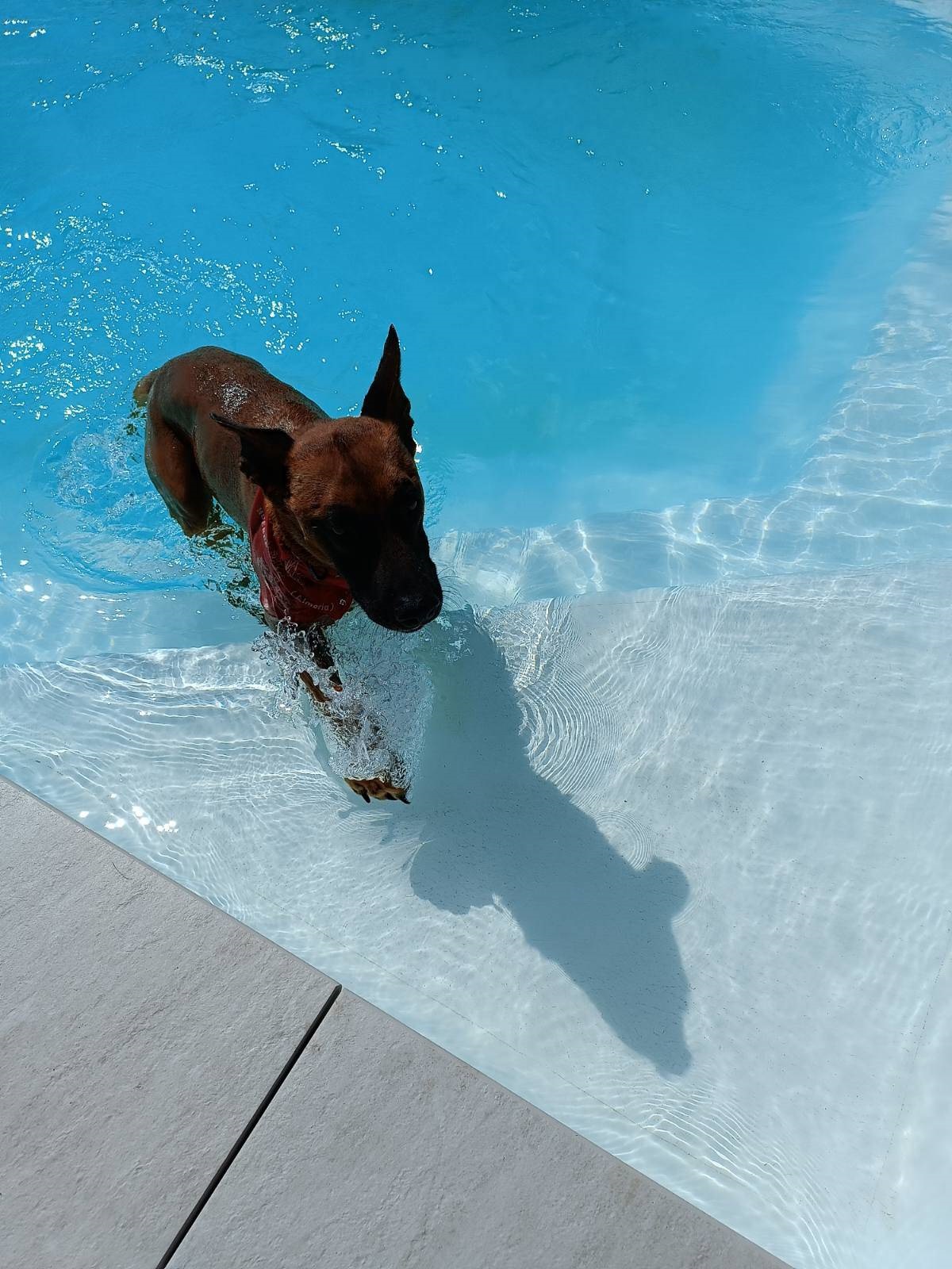 Athos et le bonheur.