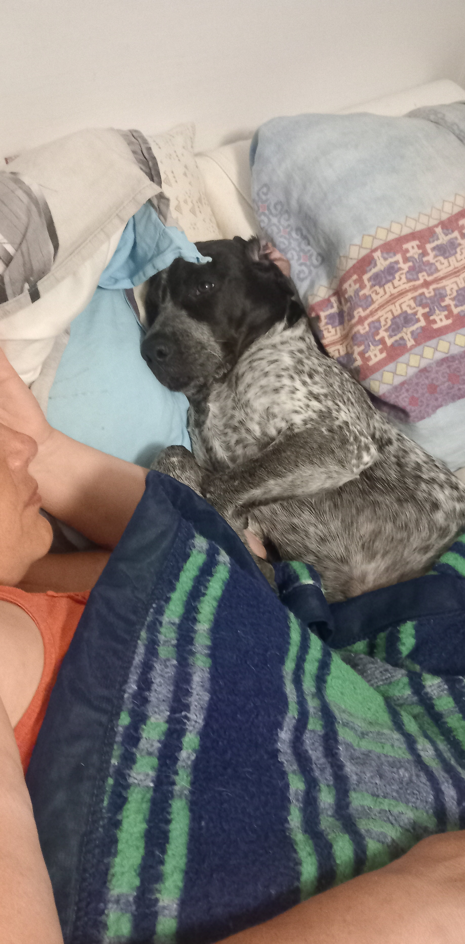 Des nouvelles de Ayko