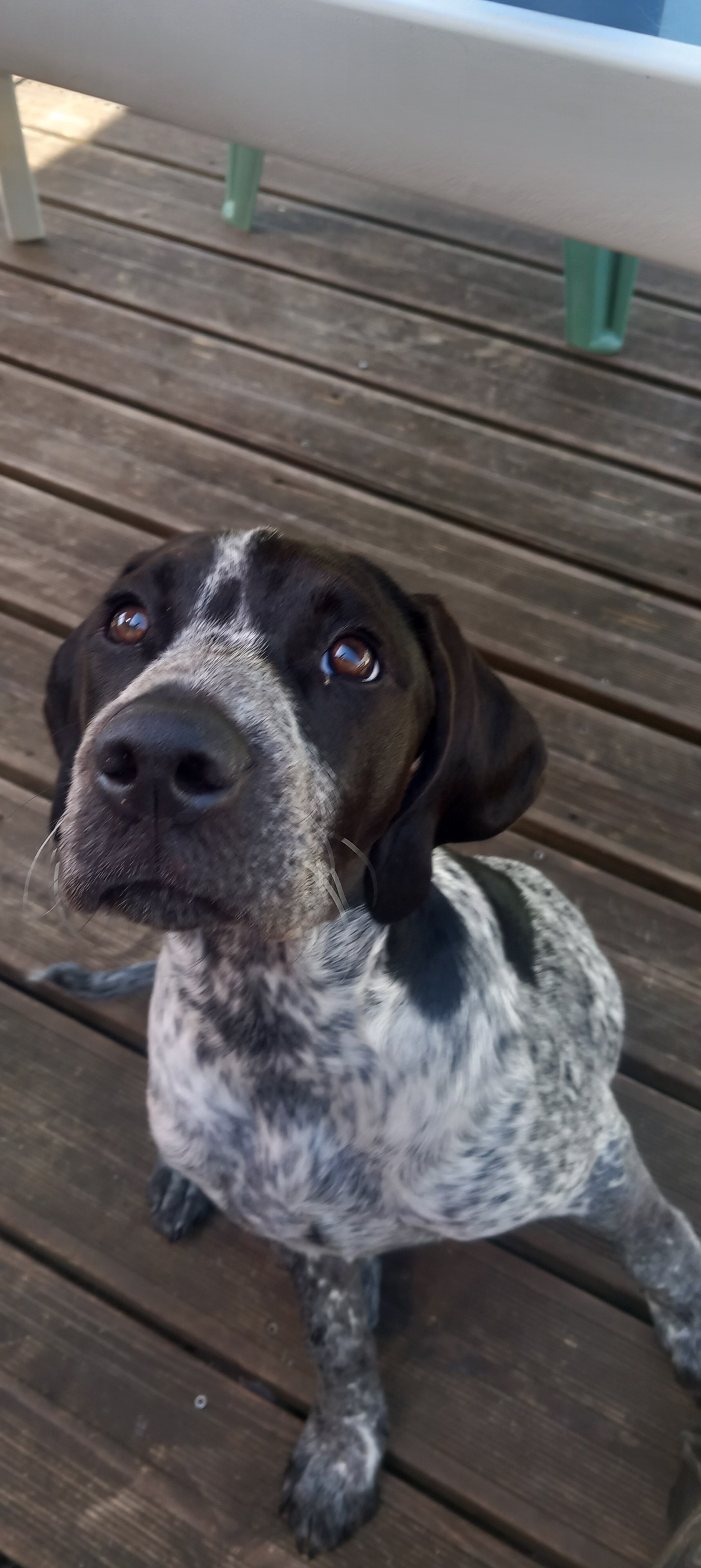 Des nouvelles de Ayko