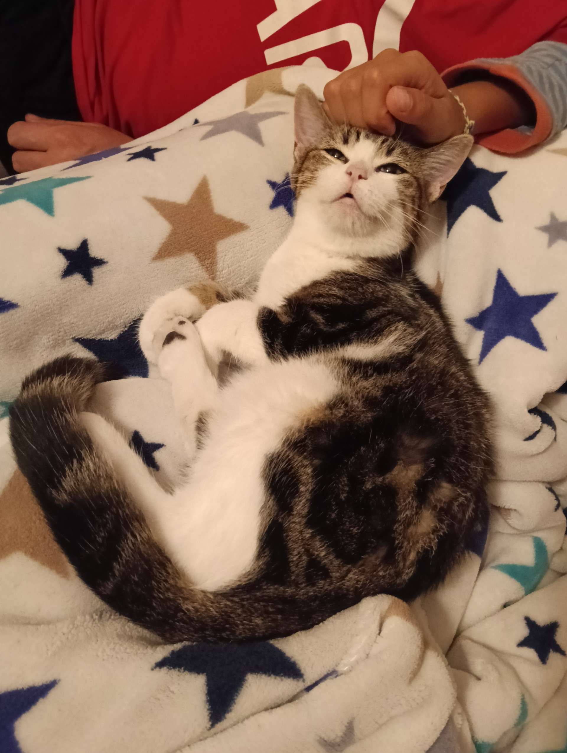 Alvella des nouvelles.