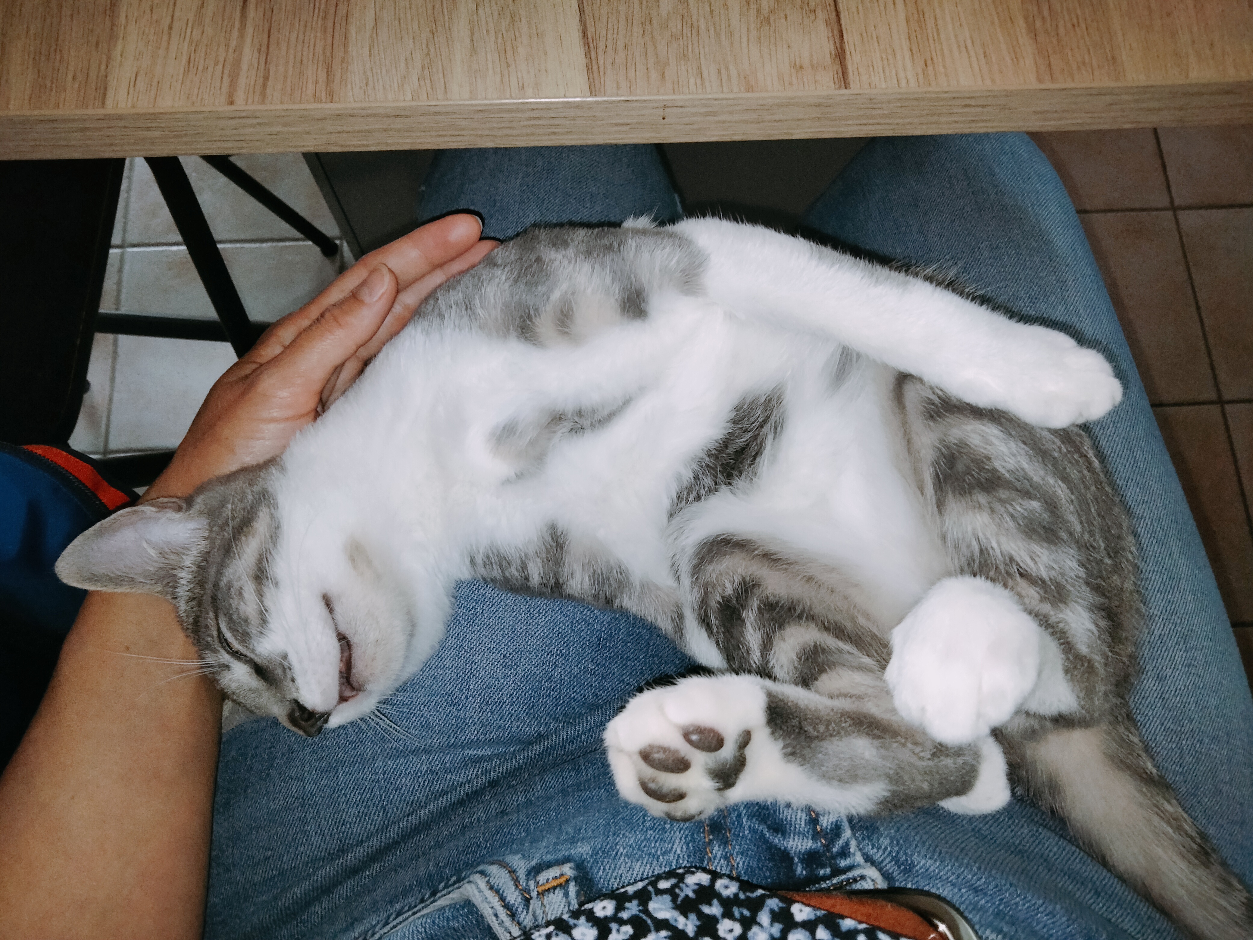 Des nouvelles d'Apple