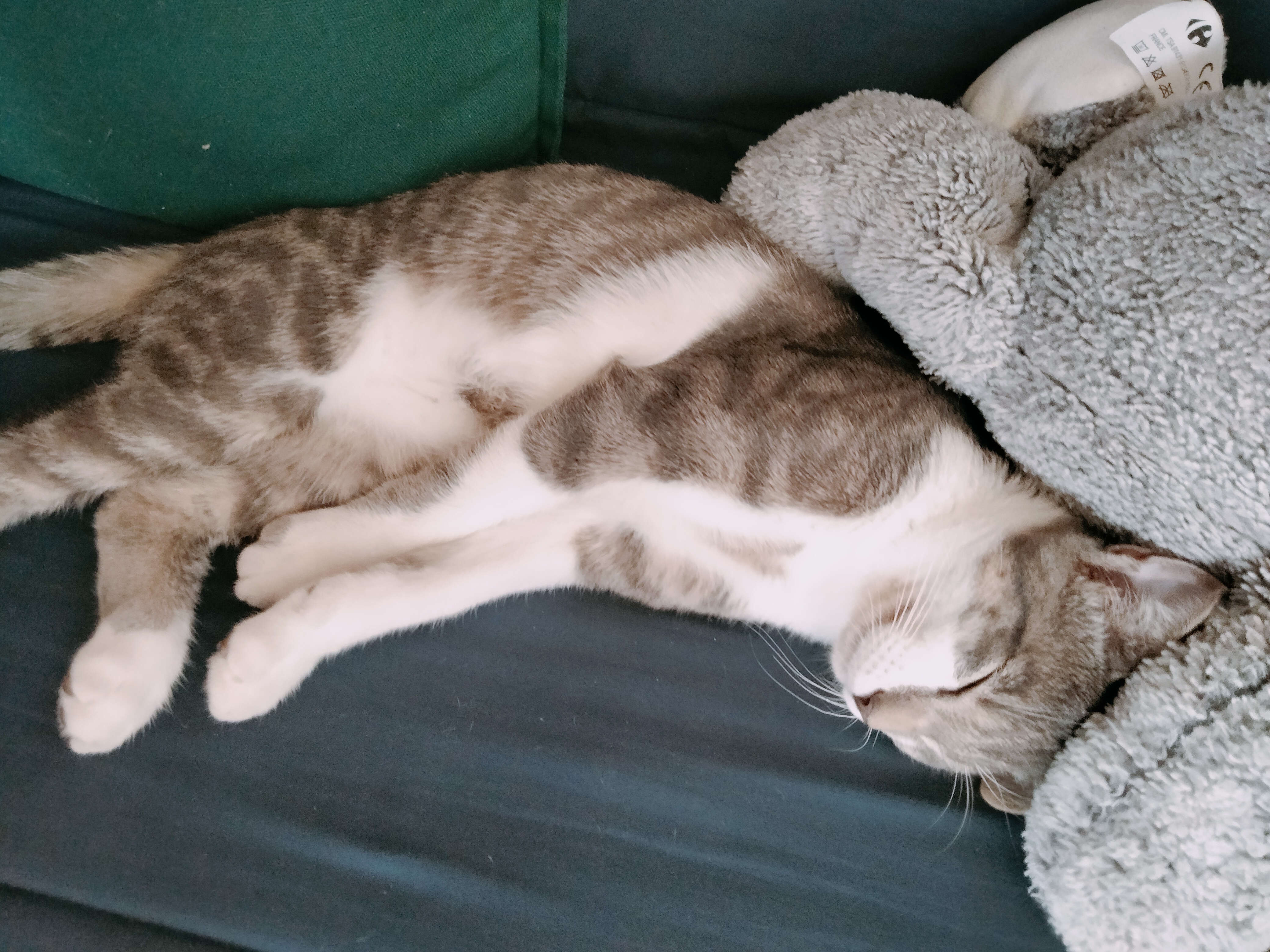 Des nouvelles d'Apple