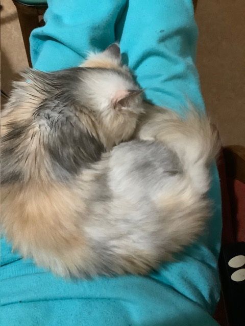 Des nouvelles de Noisette