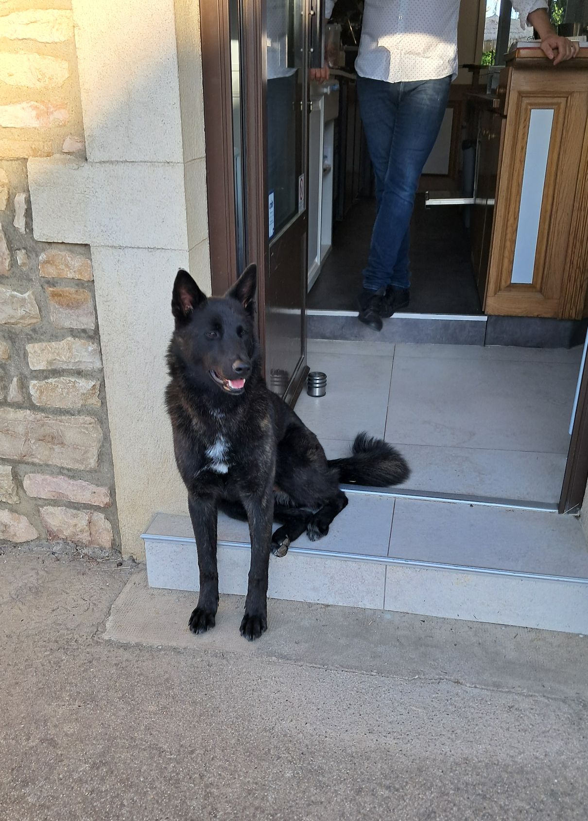 Des nouvelles d'Opale