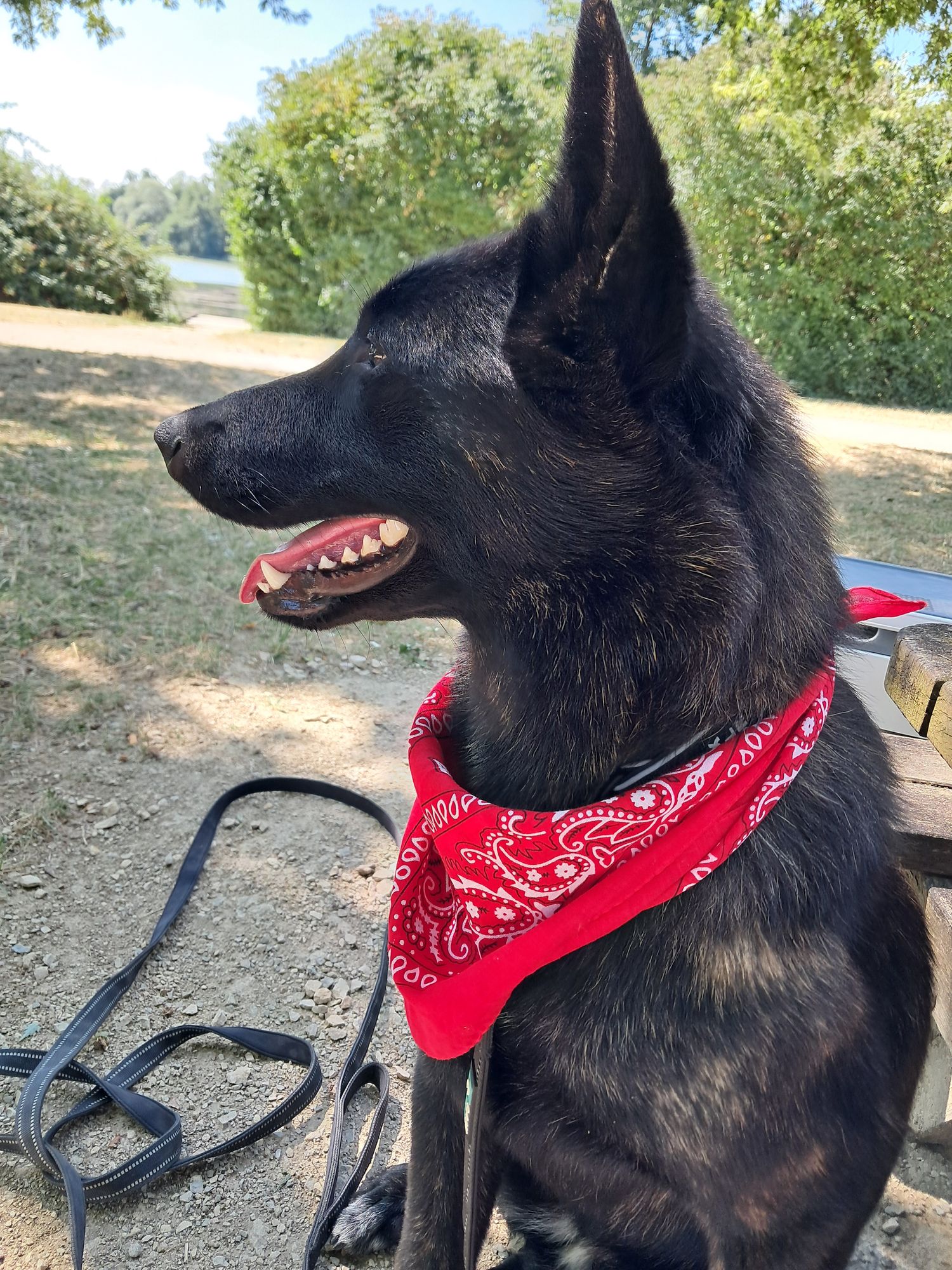 Des nouvelles d'Opale