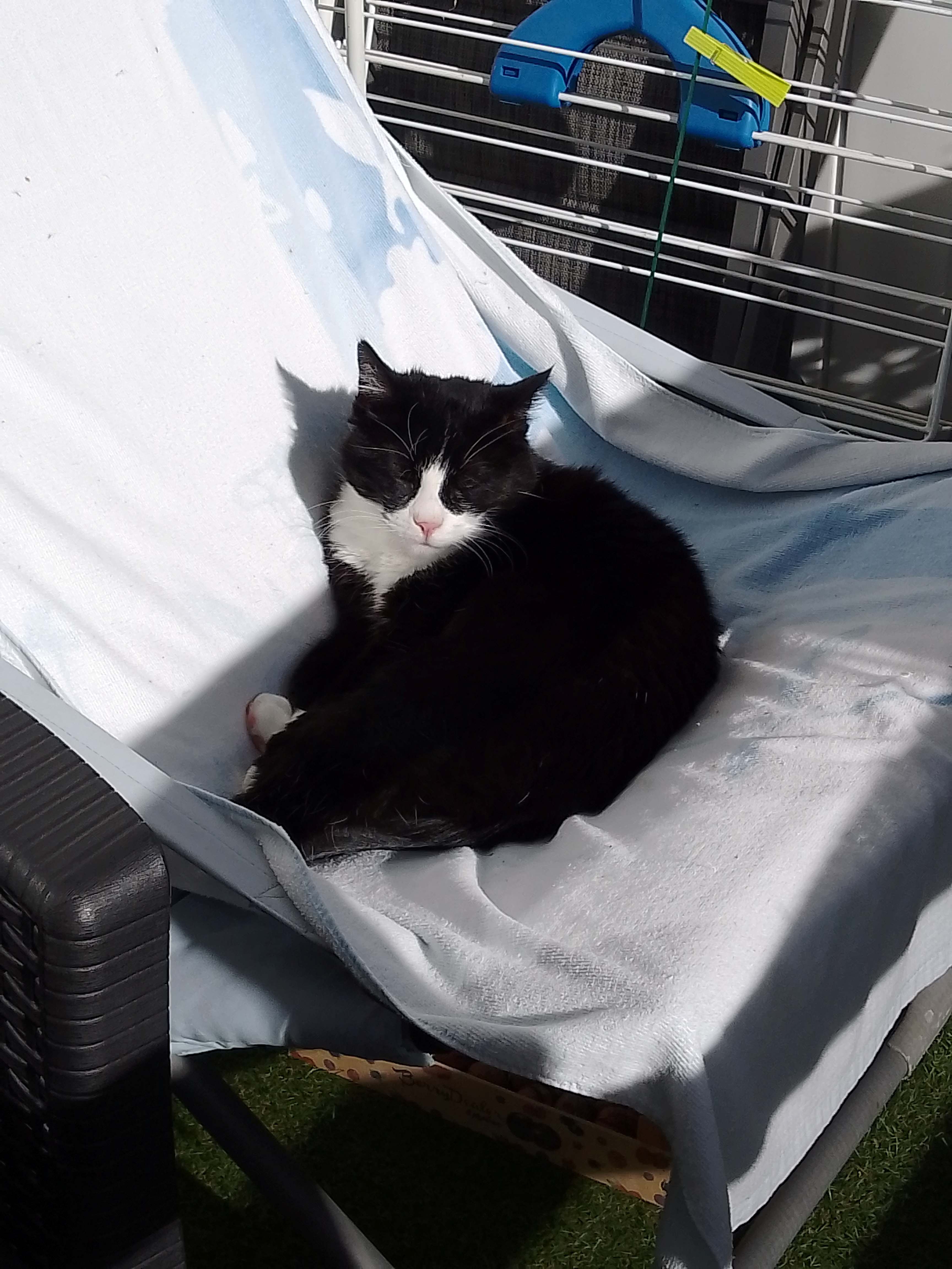 Des nouvelles d'Ophélia