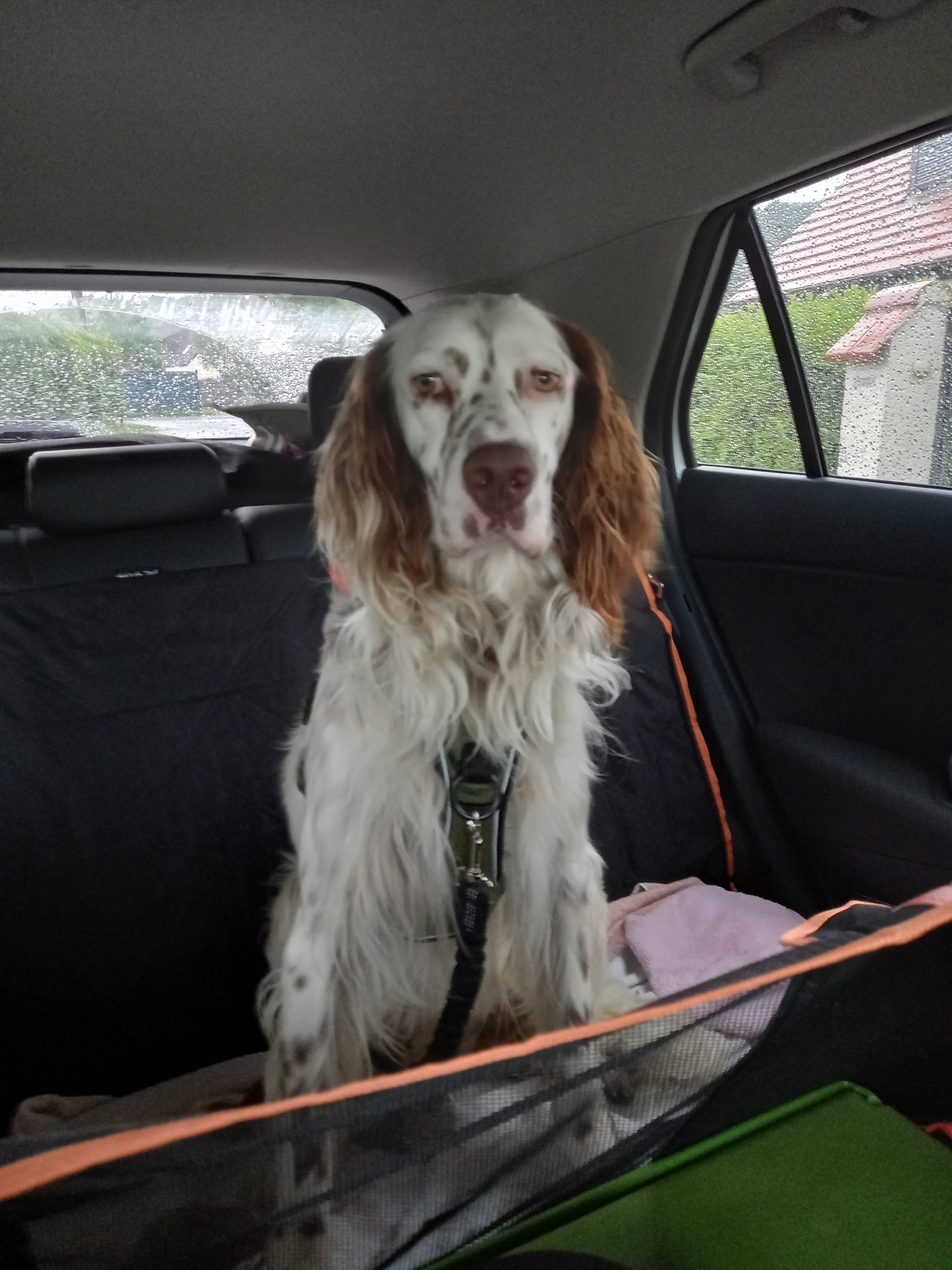 Des nouvelles d'Uggy anciennement Ulyss