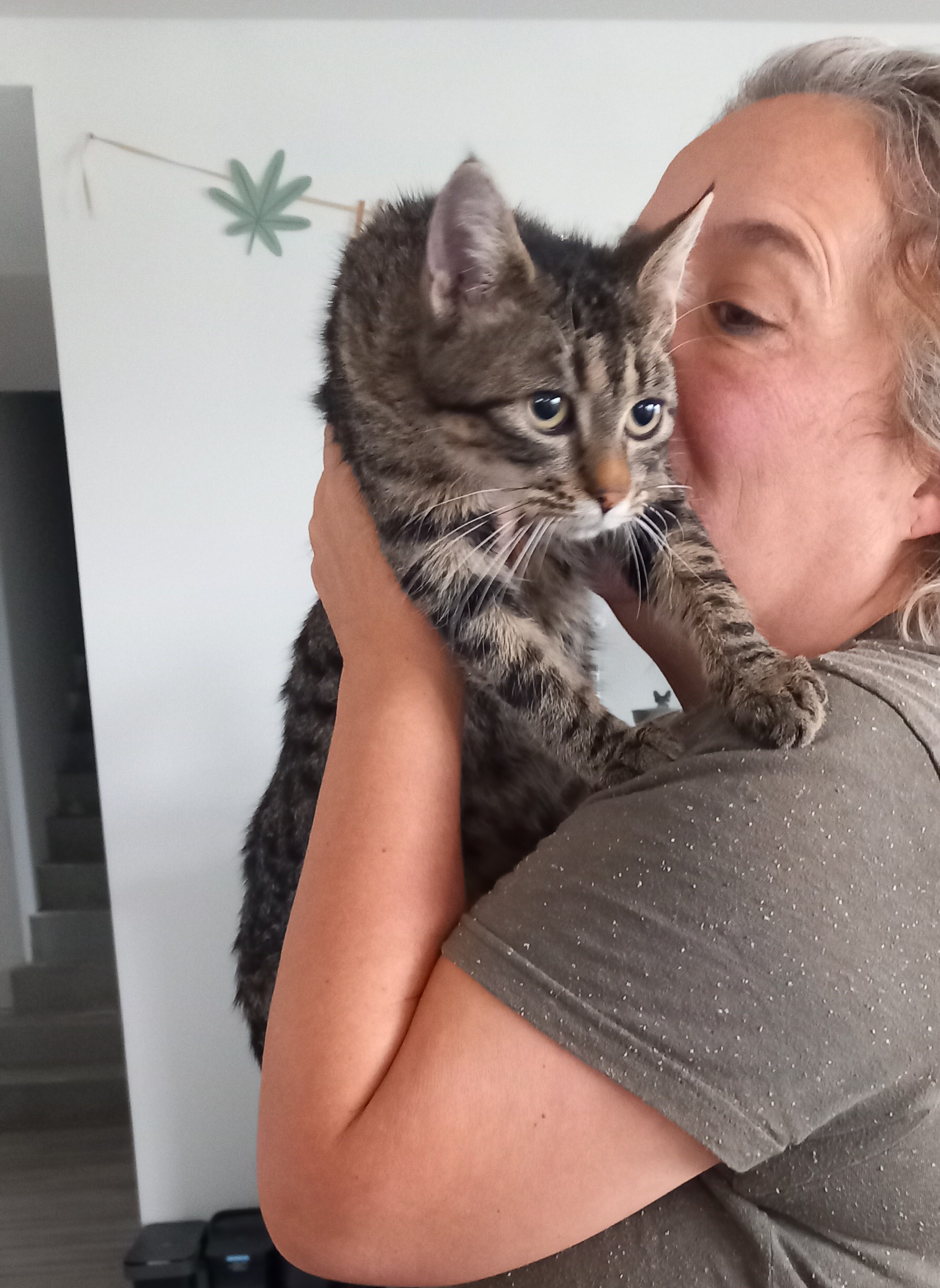 Alya maintenant Atchoum