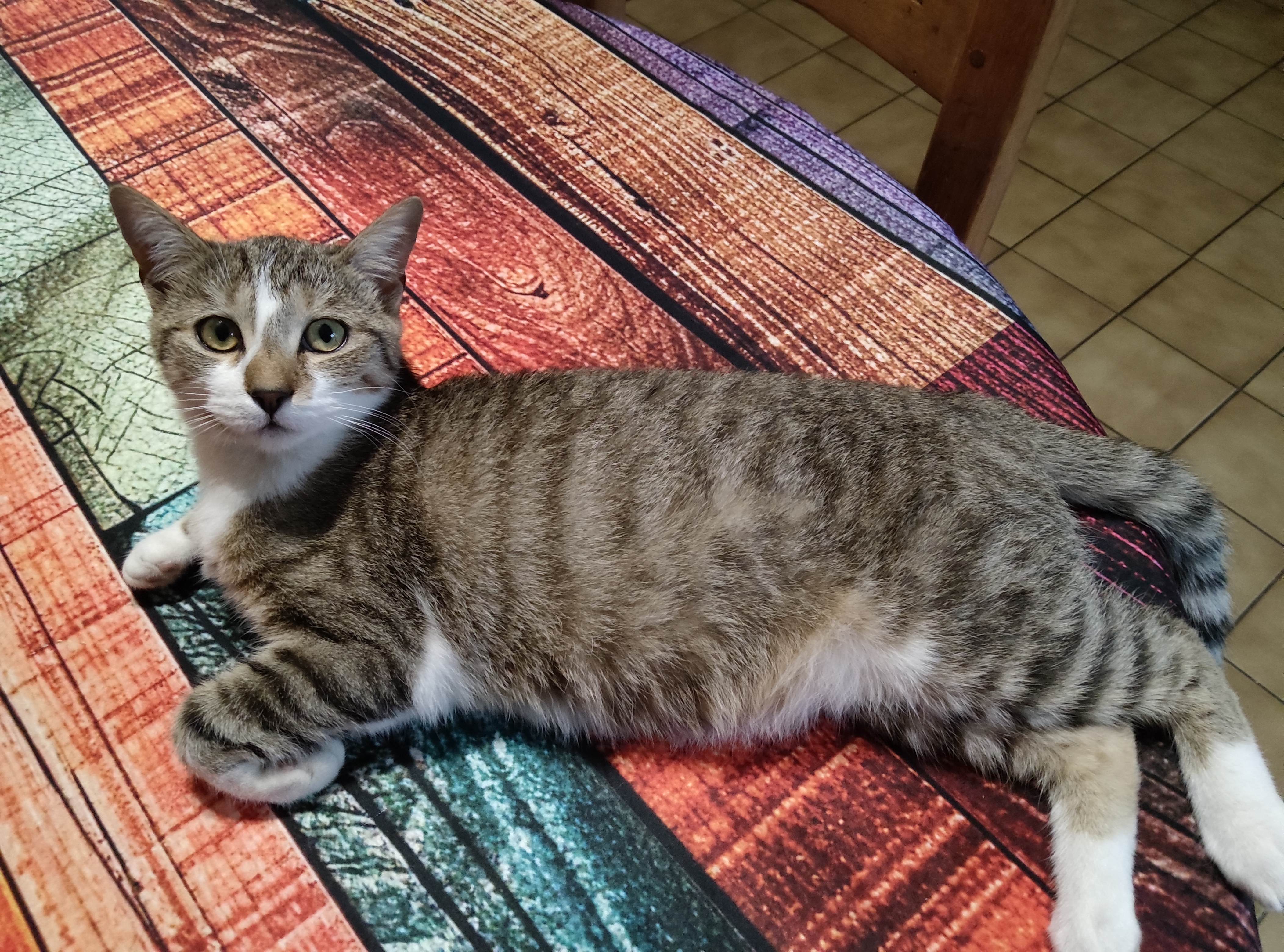 Des nouvelles d'Anna