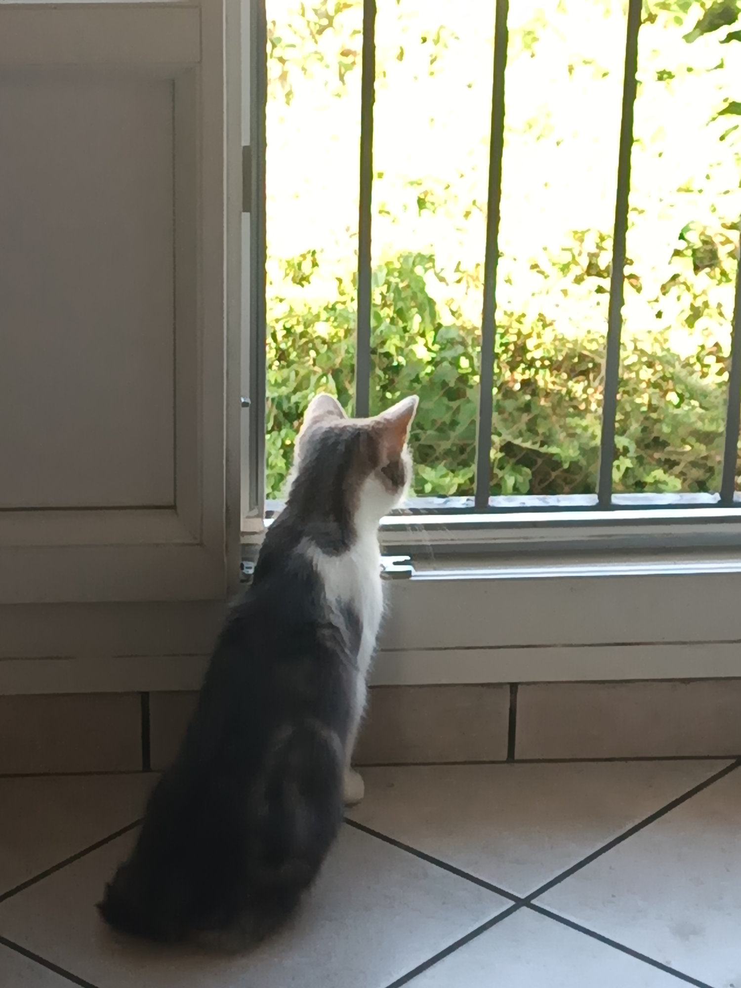 Des nouvelles d'Anthéa