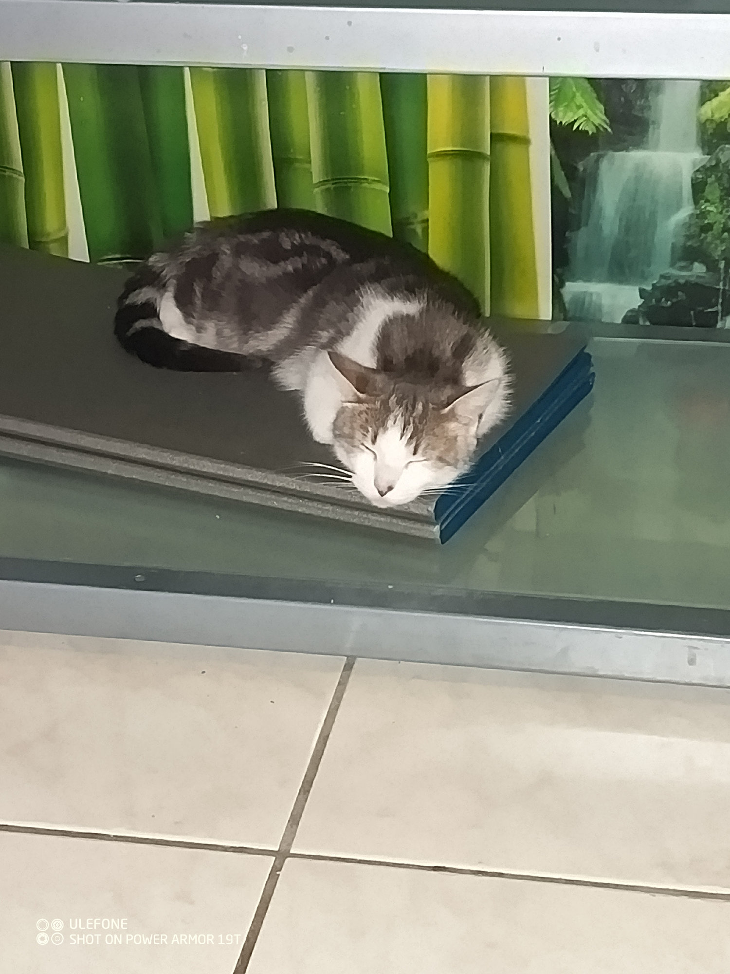 Des nouvelles d'Anthéa