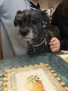 Coucou de jolie cindy