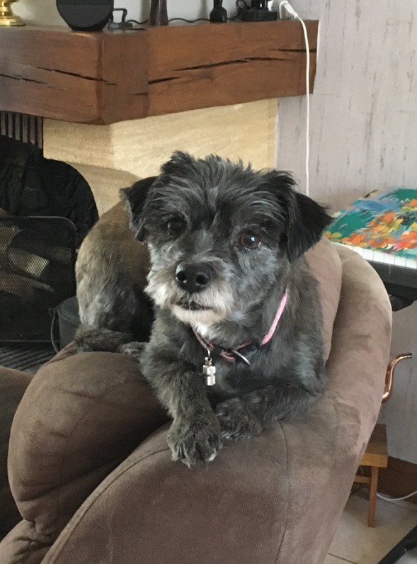 Coucou de jolie cindy