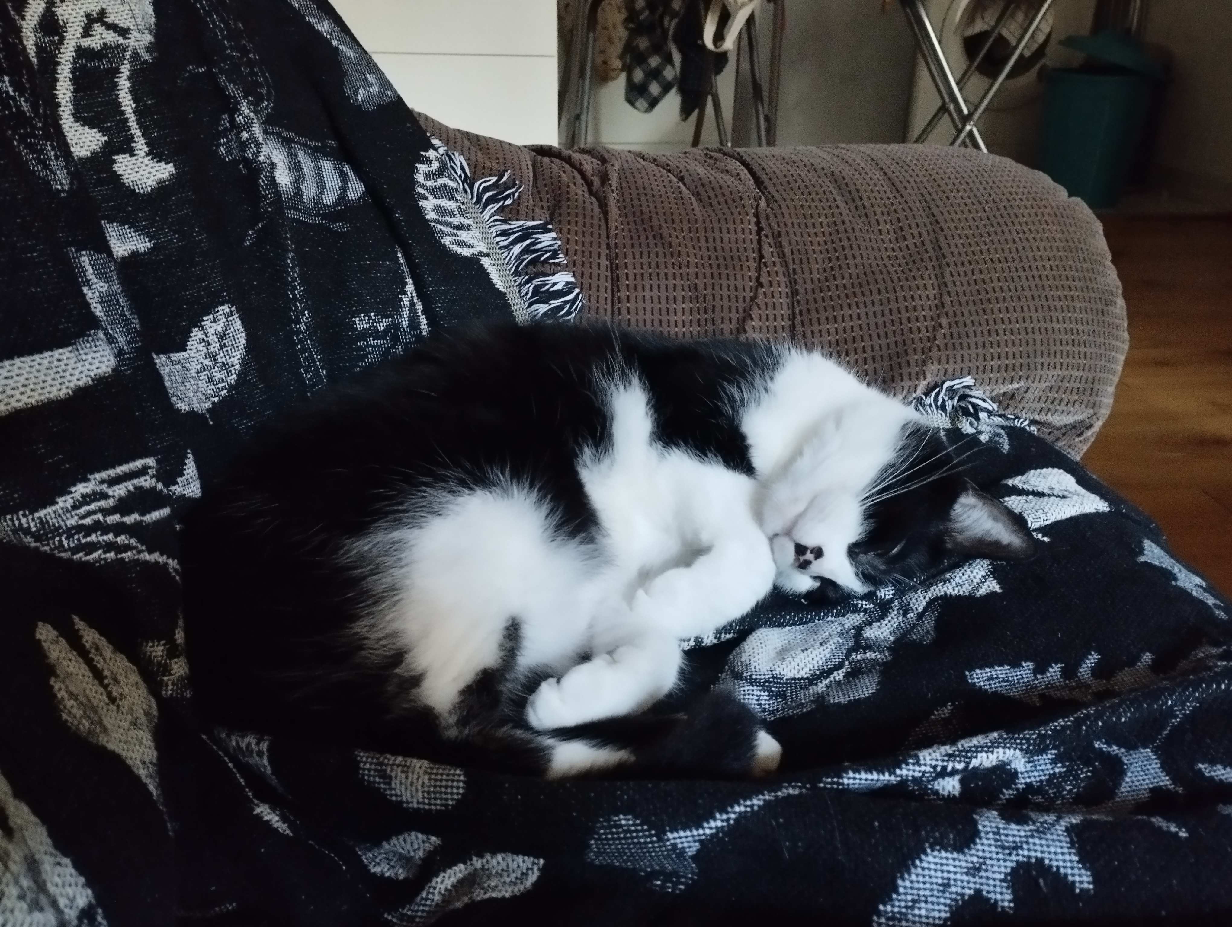 Nouvelle vie de Tara.