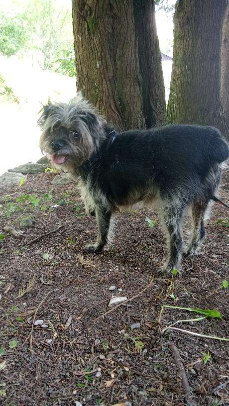 La longue vie de Tutti.