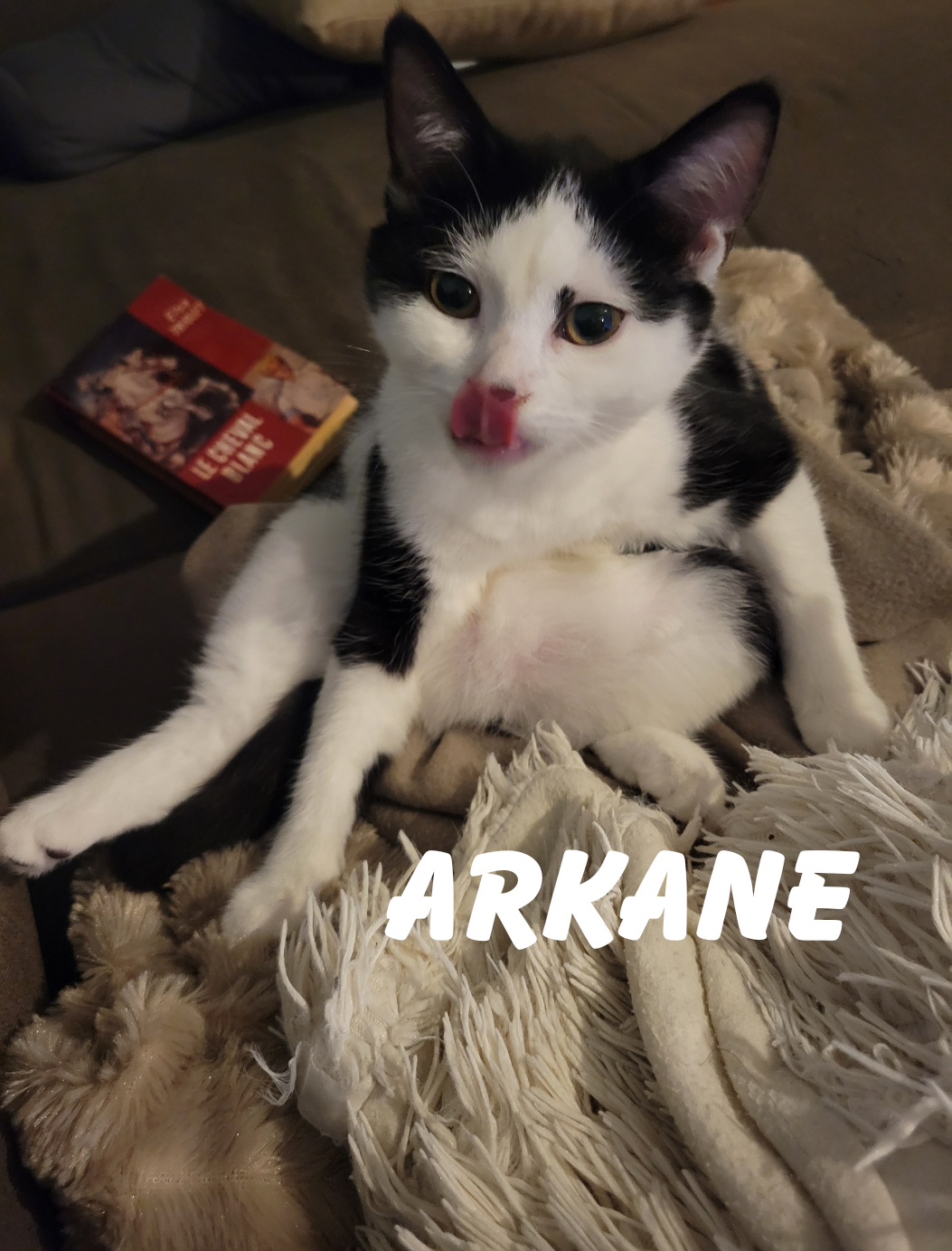 Arkane , Astra , Agatha et Agathe