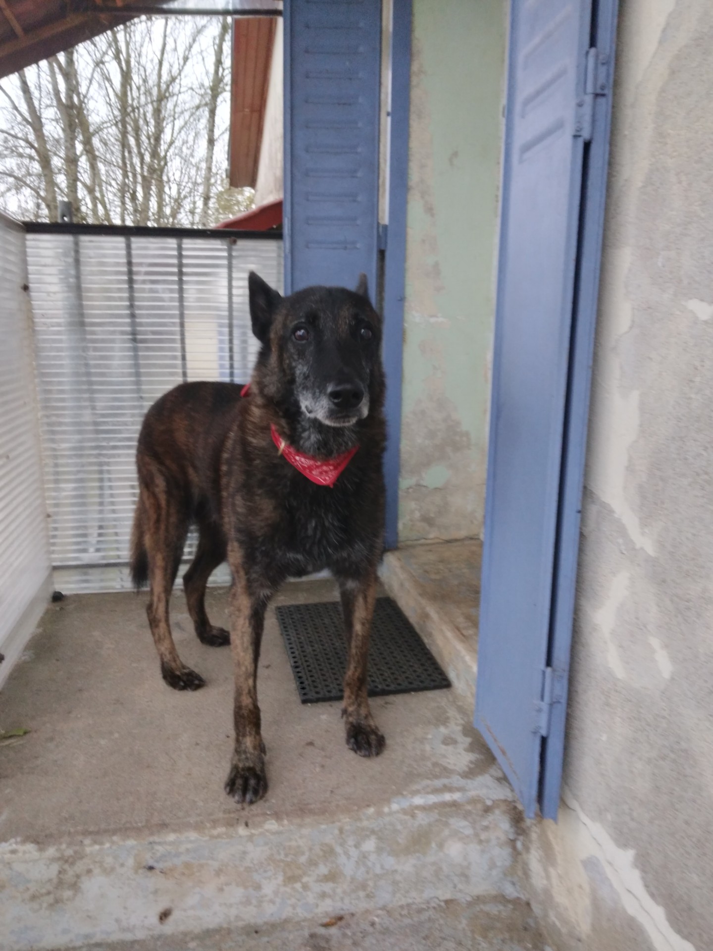 Des nouvelles de Jackson.