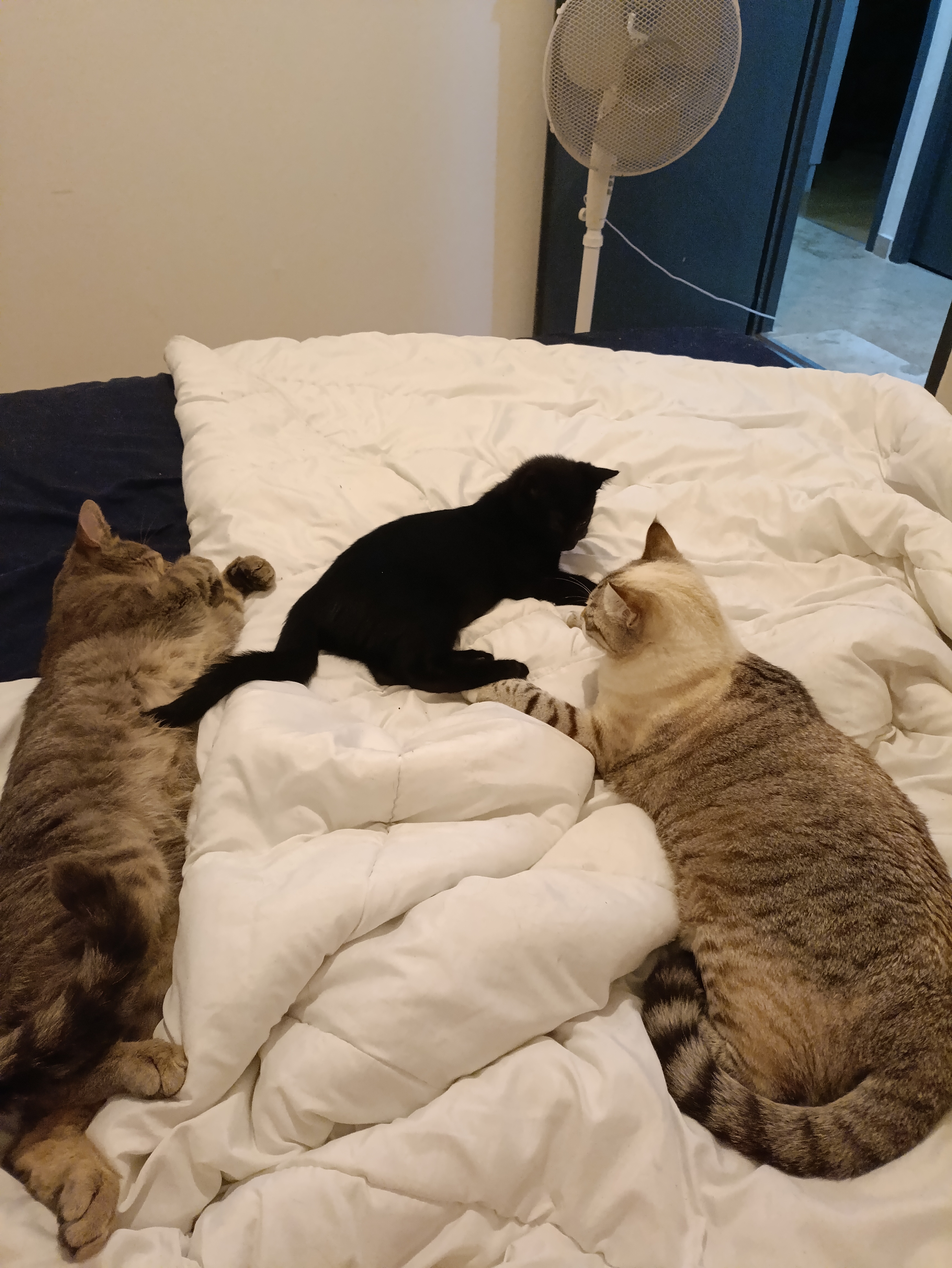 Valeo des nouvelles.