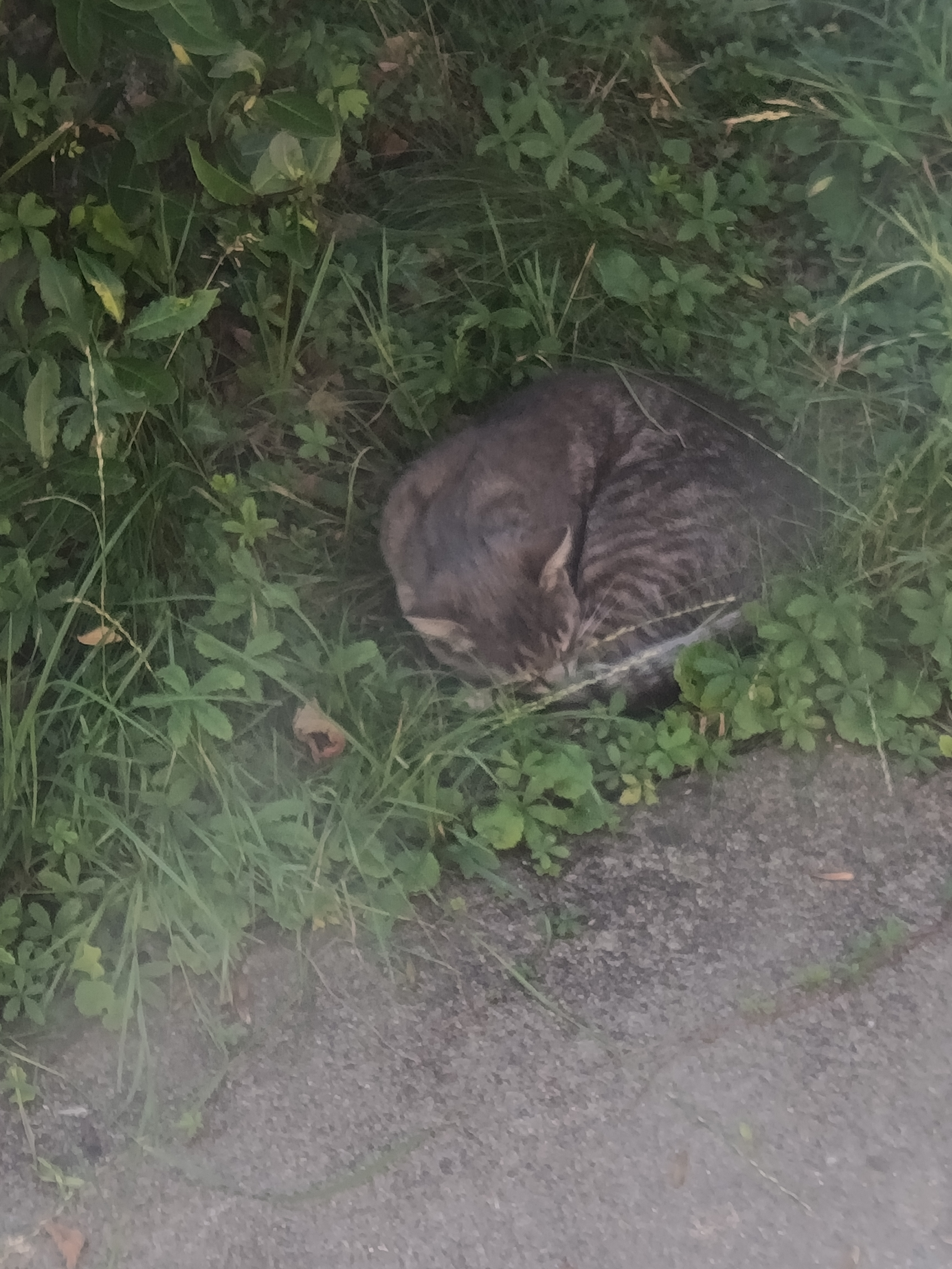 Valeo des nouvelles.