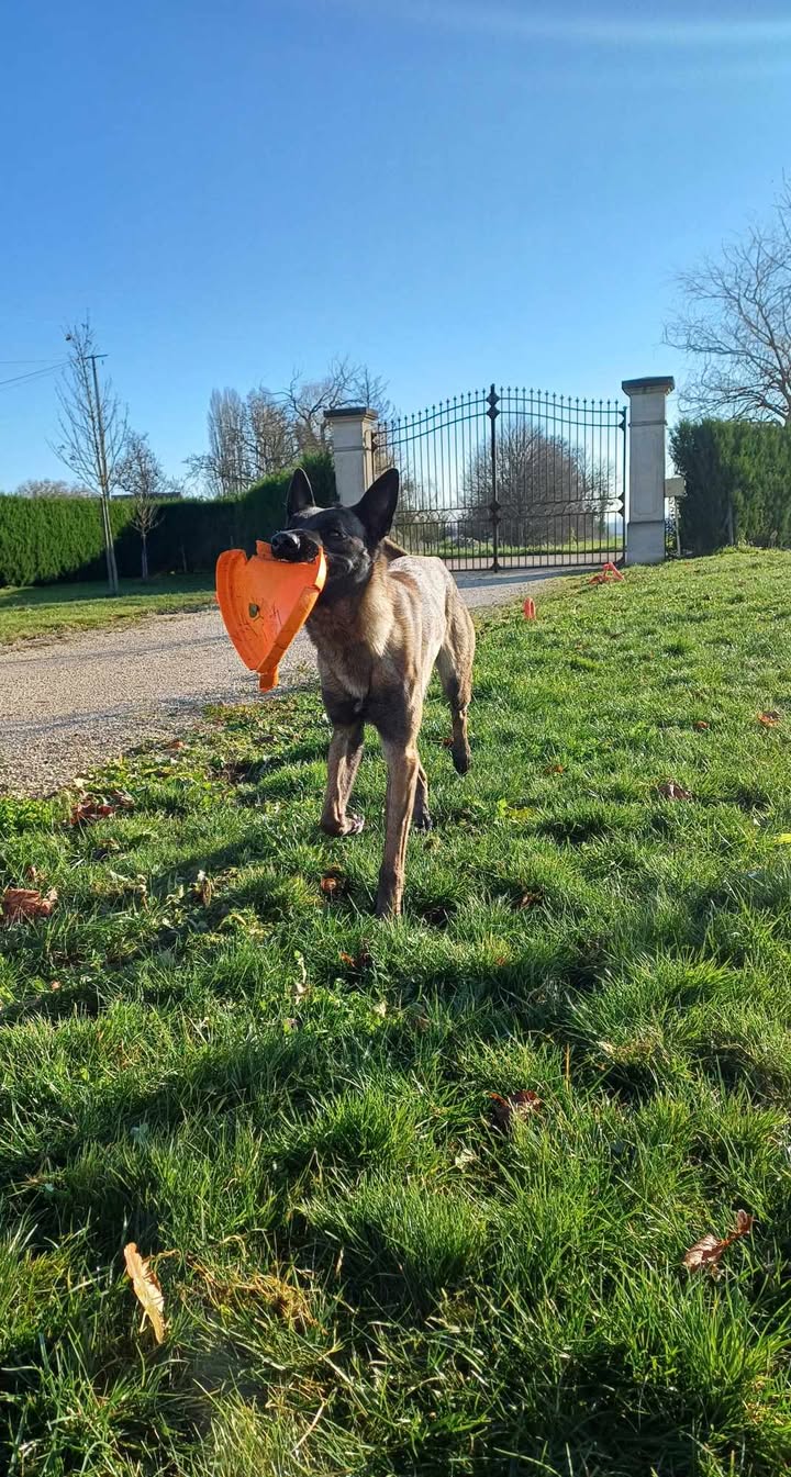 Seven le magnifique.