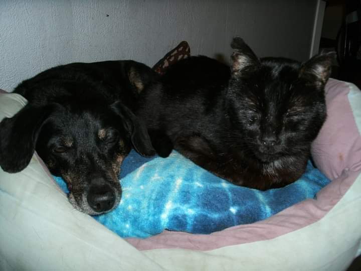 Les trésors de Martine