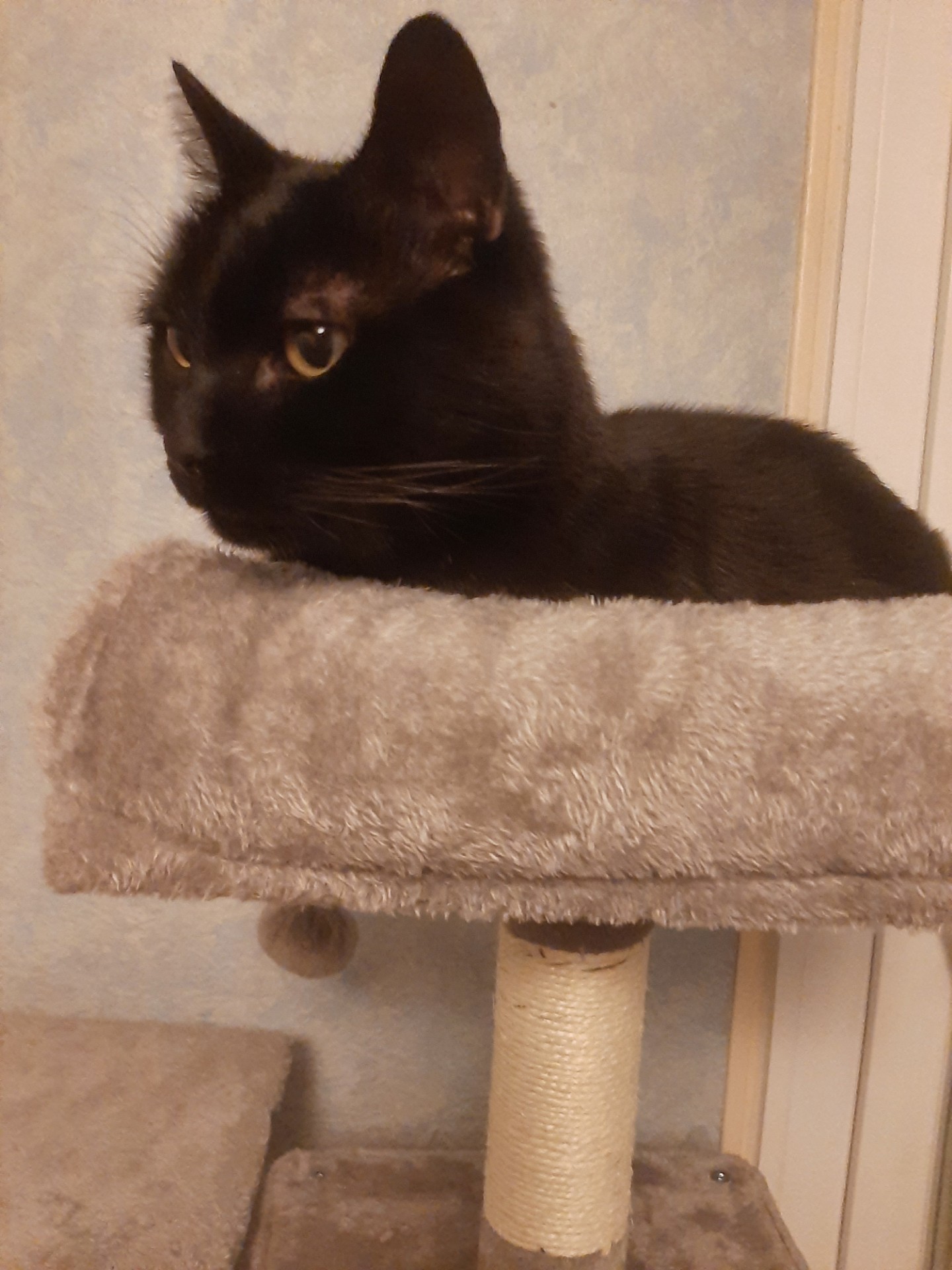 Les trésors de Martine