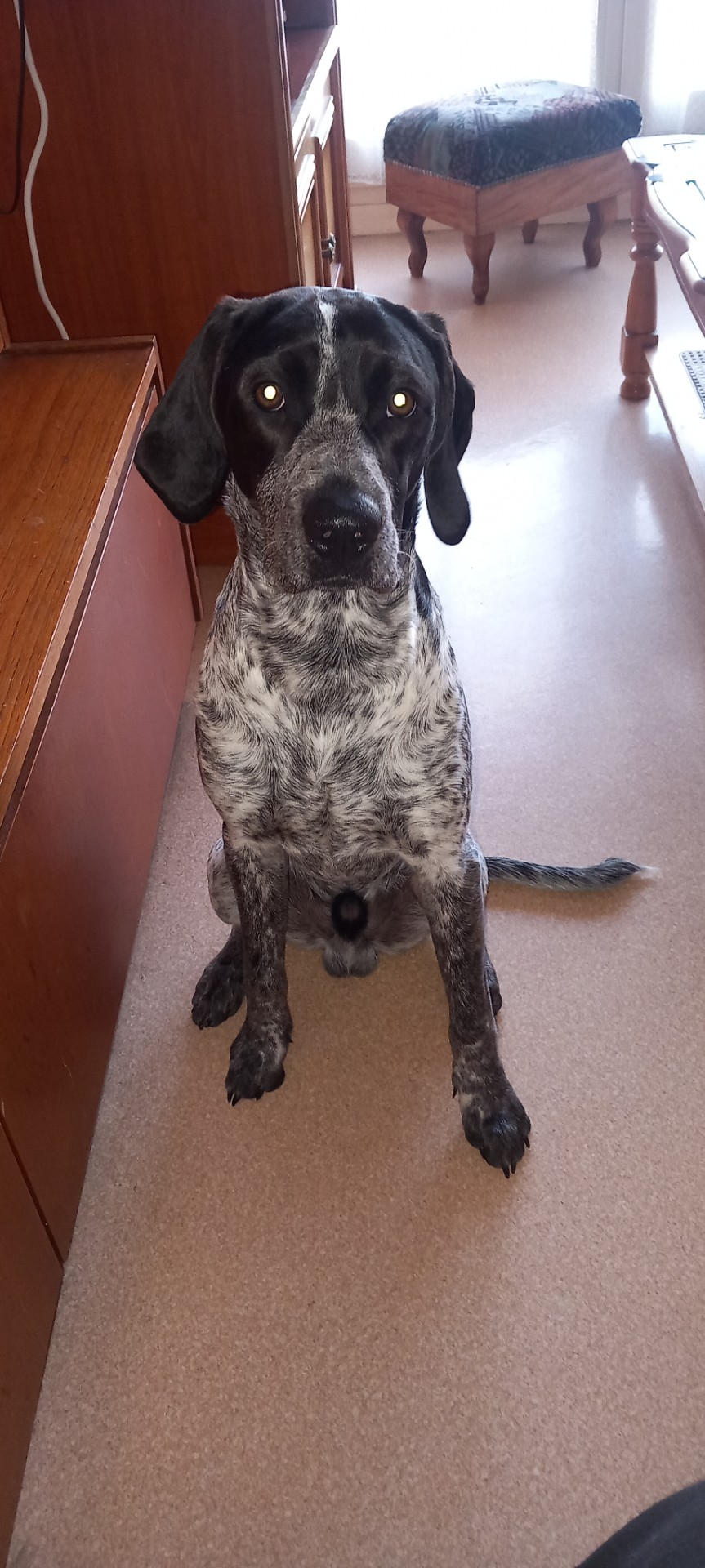 Joyeux Noêl de la part de Ayko.