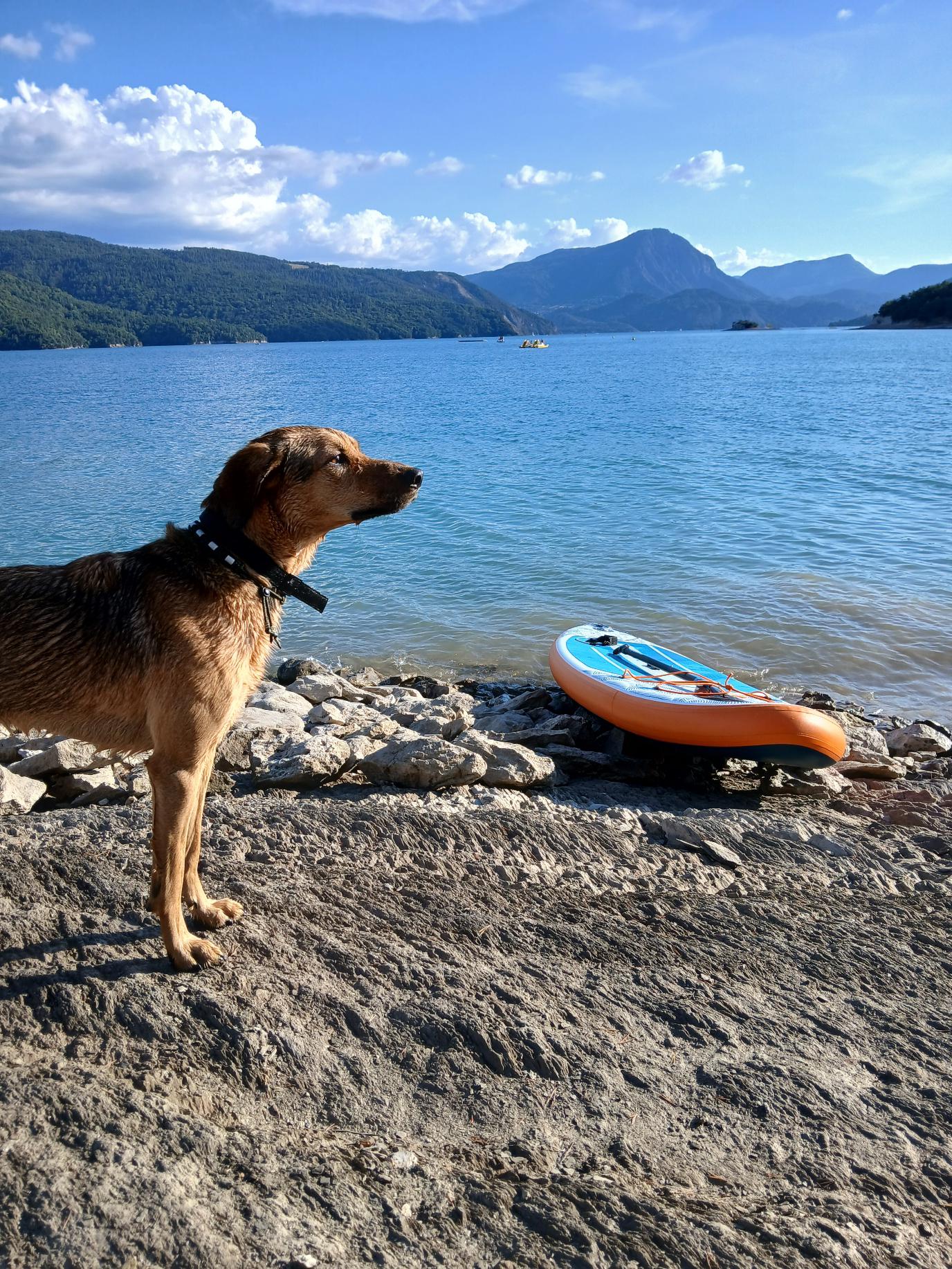 Des nouvelles de Rio (ex Rocco)