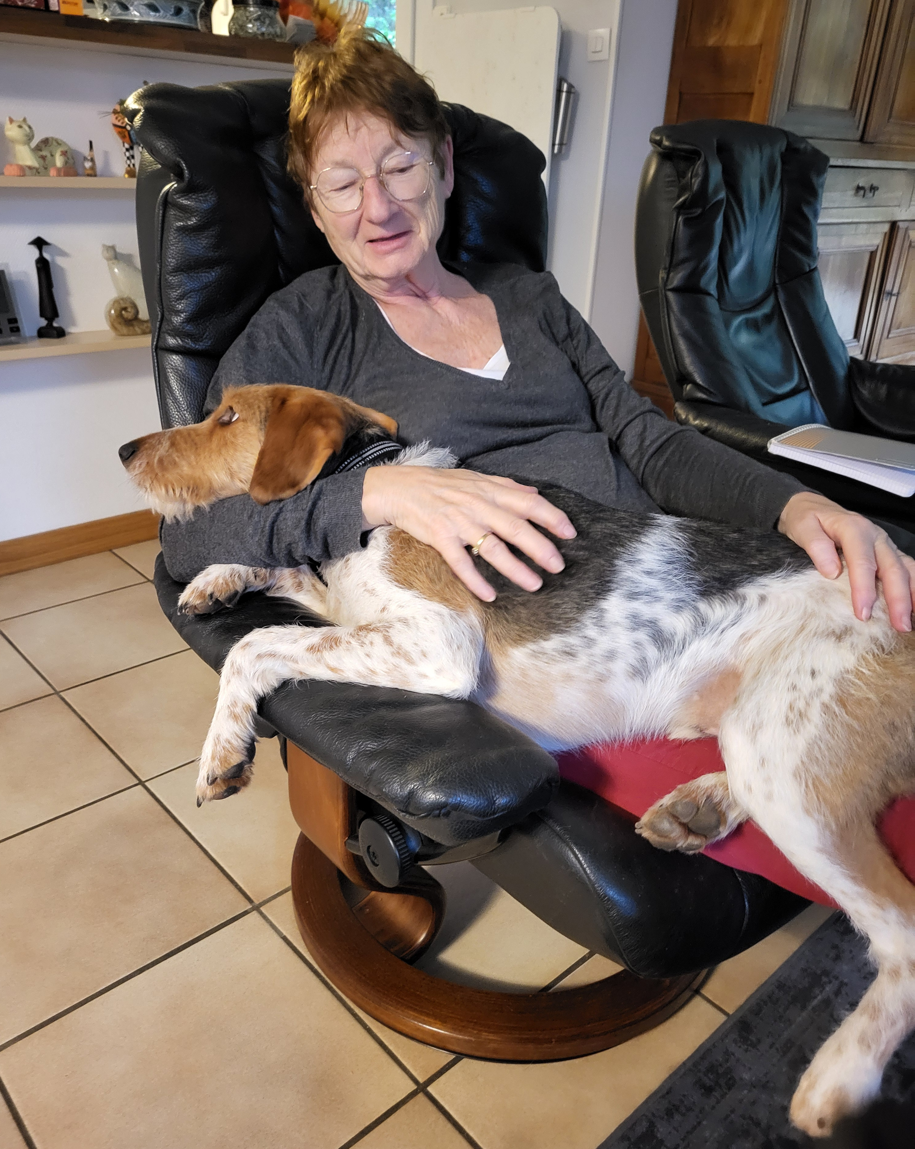 Des nouvelles de Taiga