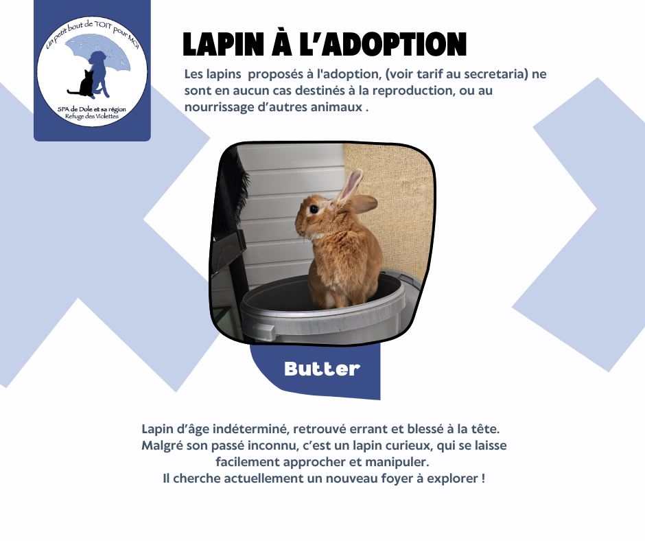 Butter gentil lapin